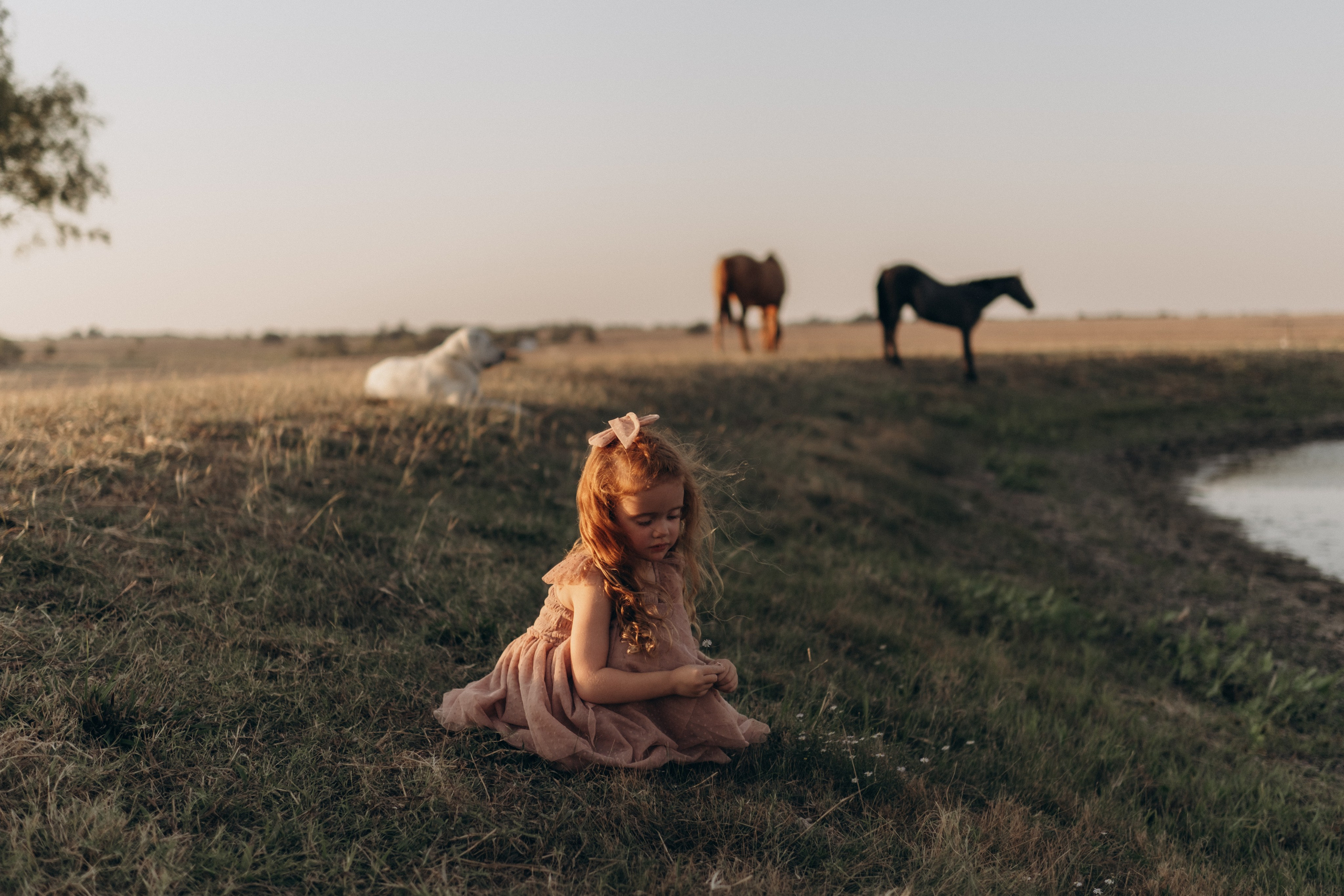 Little Princess. Lens Captures Life