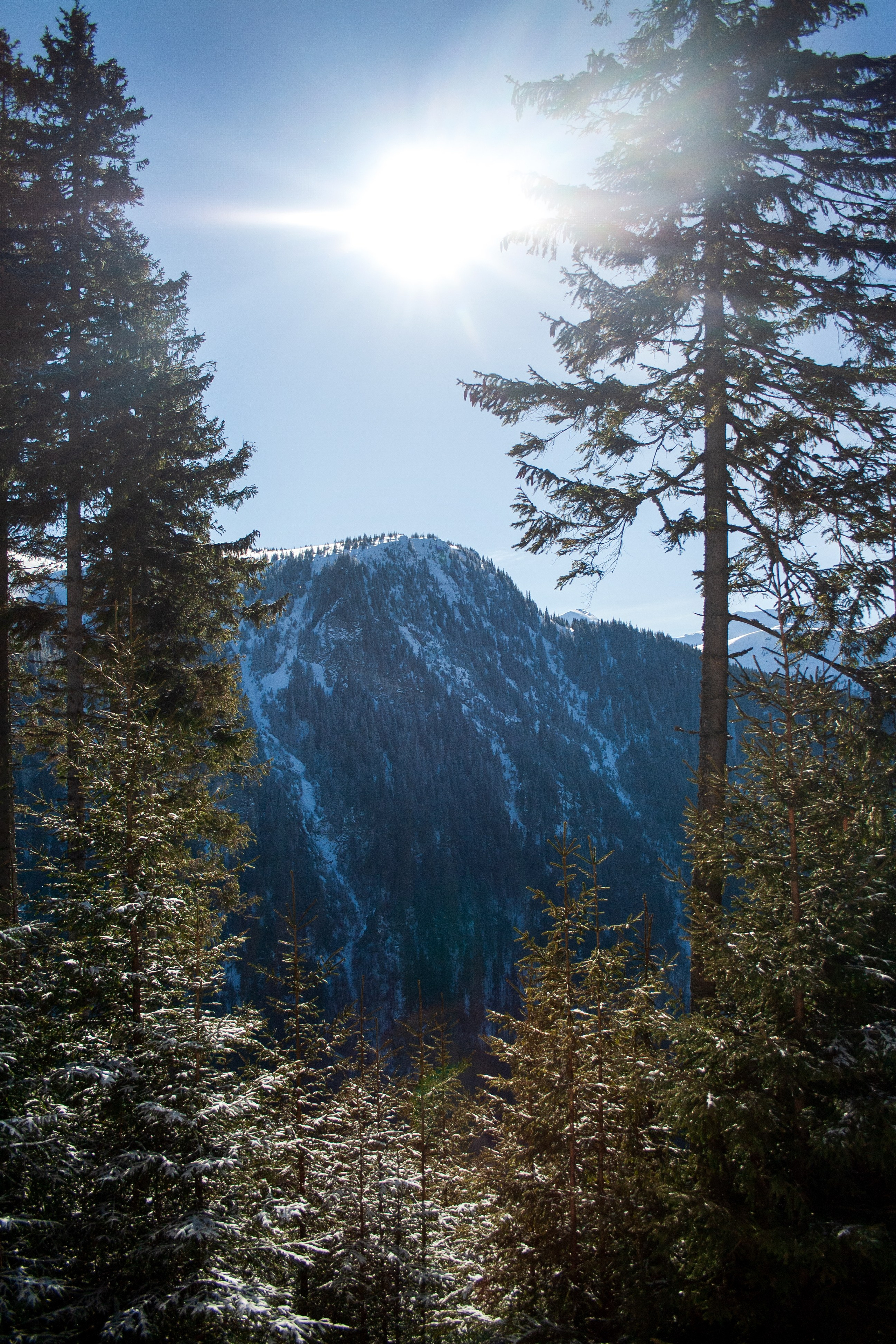 Mountain landscapes. Portrait and still life photographer. Designer, photographer, and illustrator