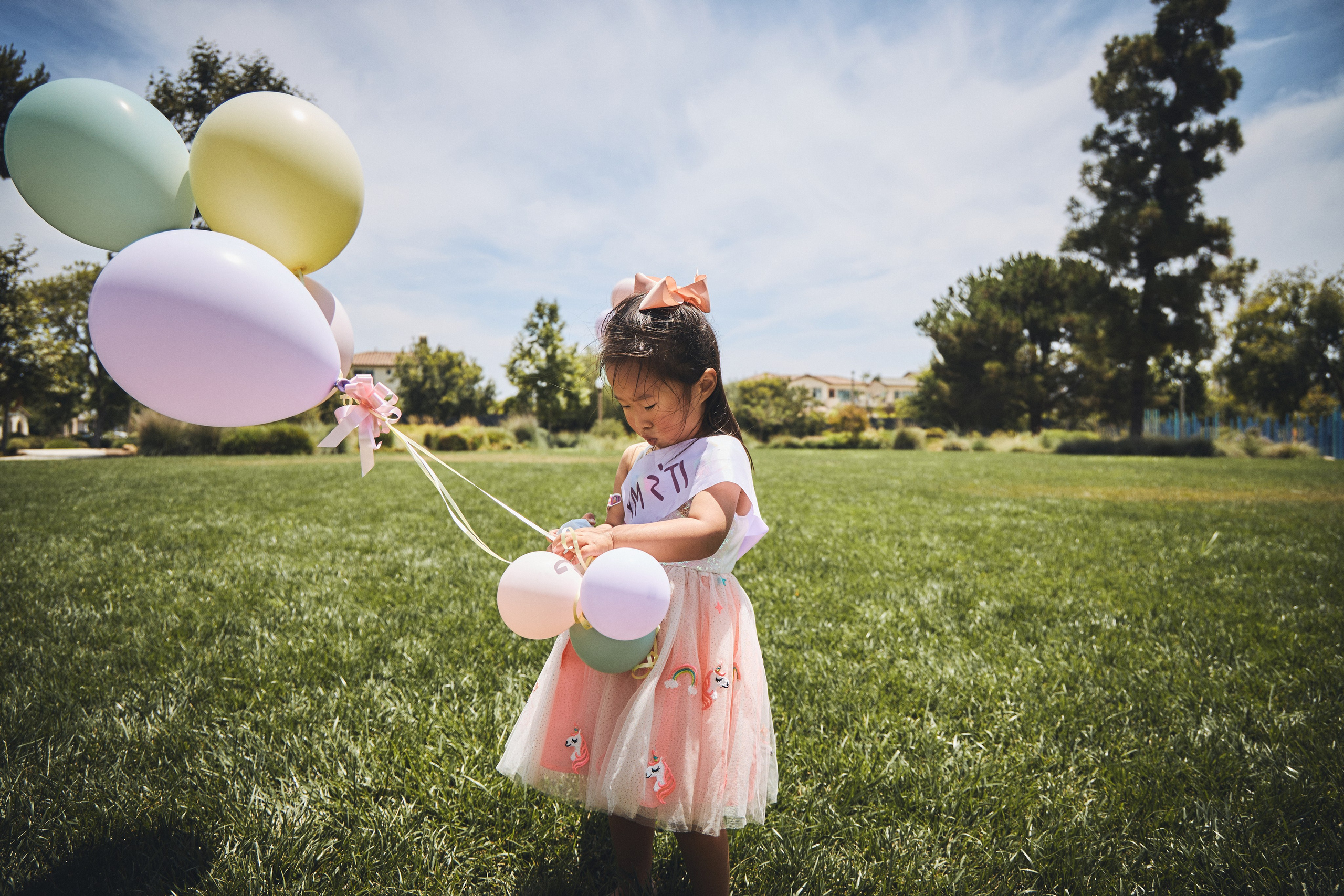 Events. Dave Grit Photography