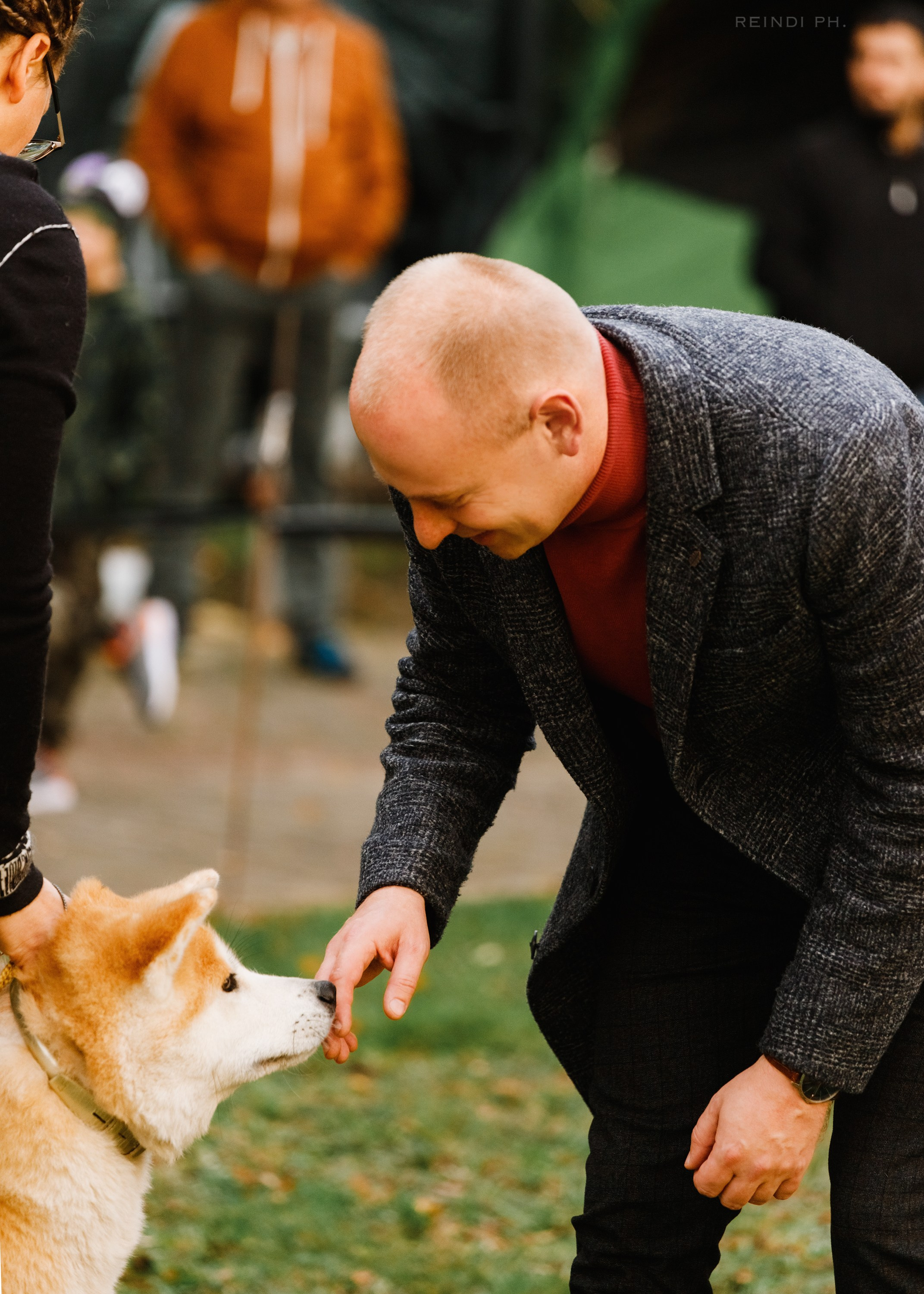 «Argus» dog show in Brest. Kaja | fotograf we Wrocławiu | ludzie i psy