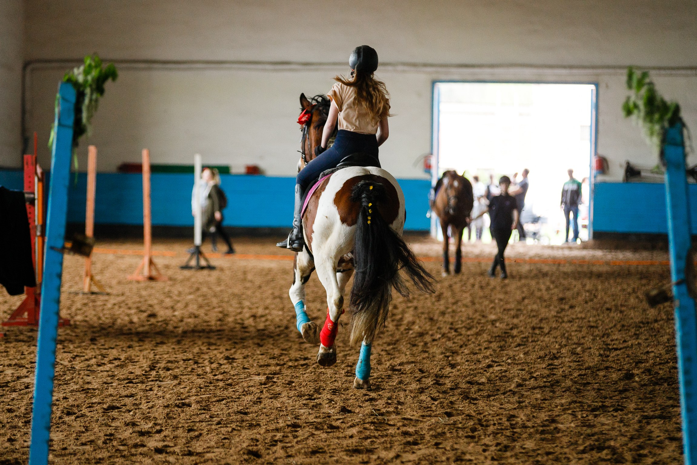 Horse winter games. Kaja | fotograf we Wrocławiu | ludzie i psy