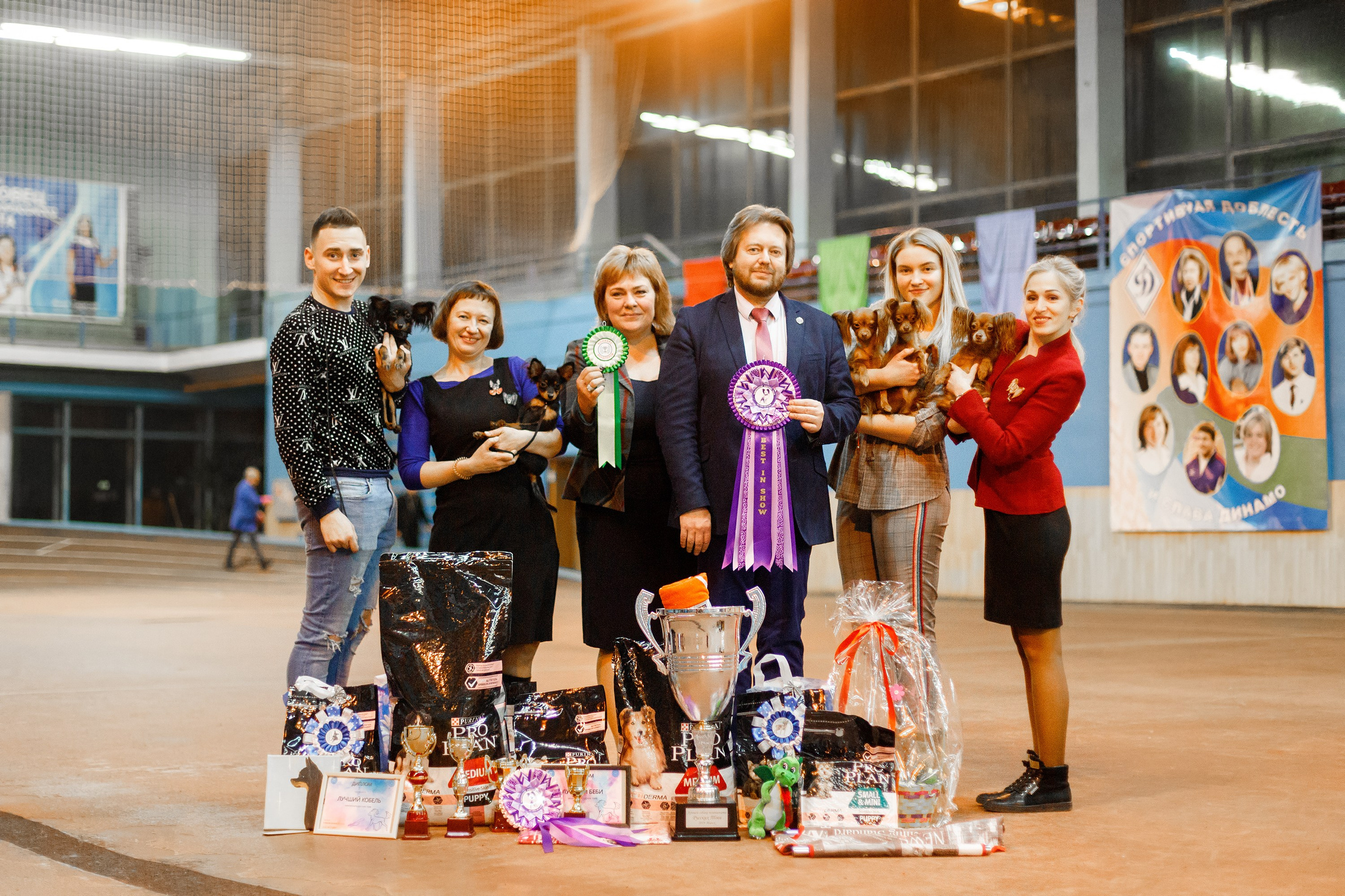 Dog shows | the best ones. Kaja | fotograf psów we Wrocławiu