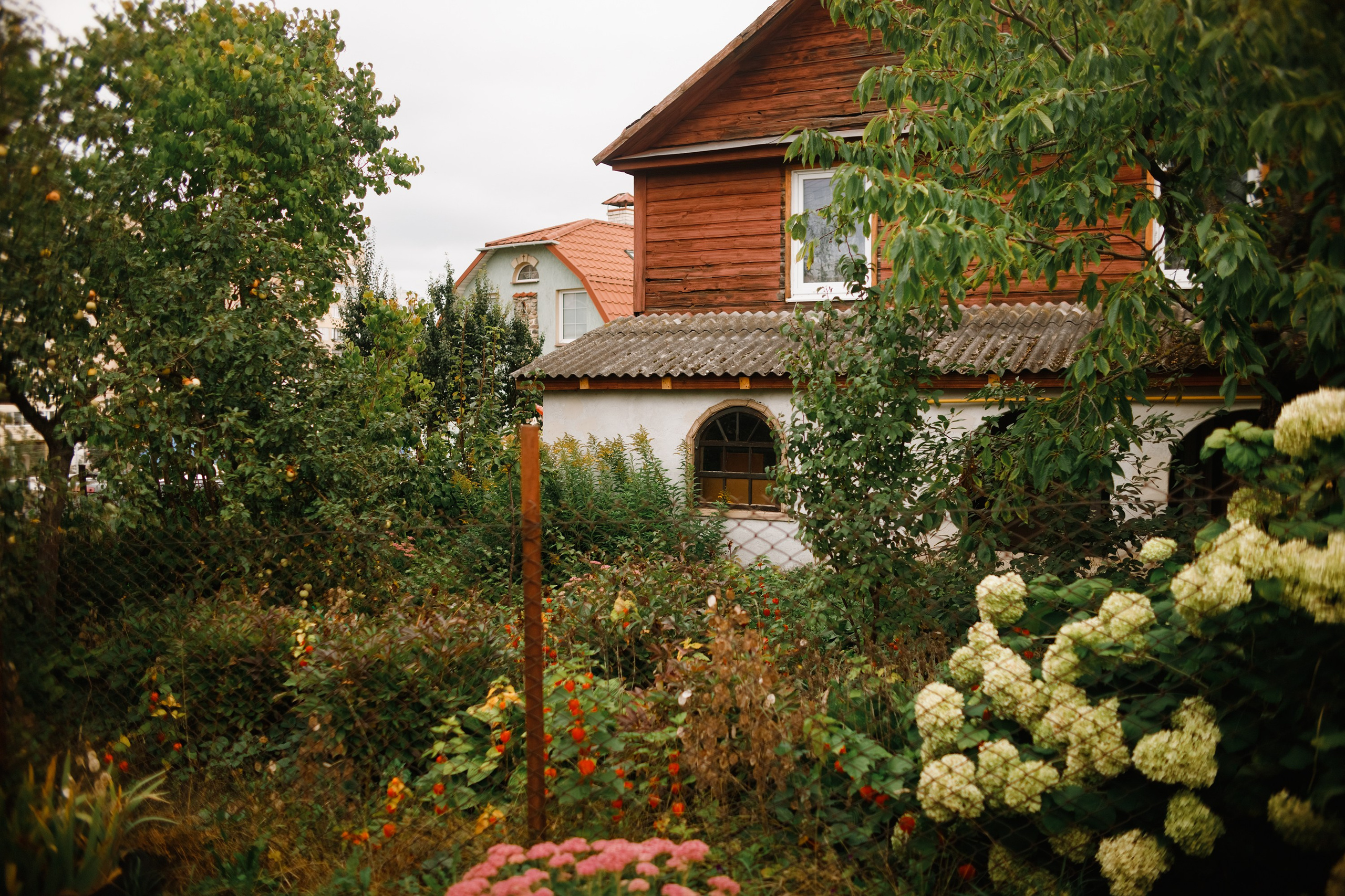 Grodno. Kaja | fotograf we Wrocławiu | ludzie i psy