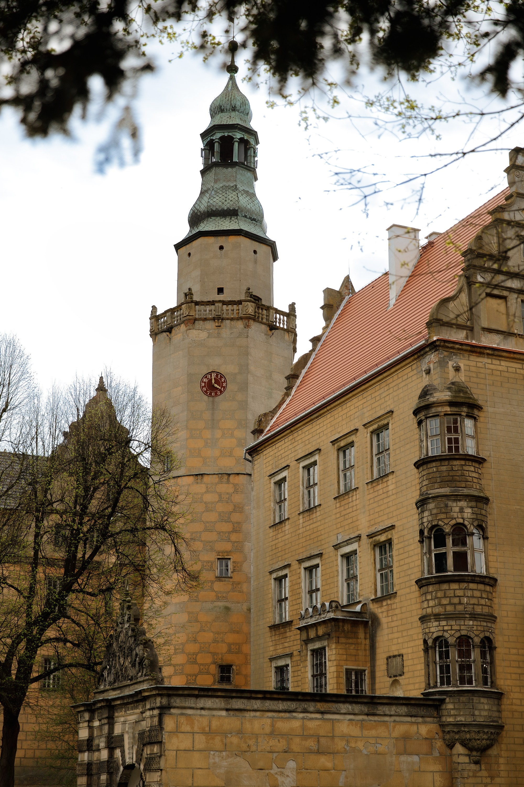 Oleśnica castle. Kaja | fotograf psów we Wrocławiu