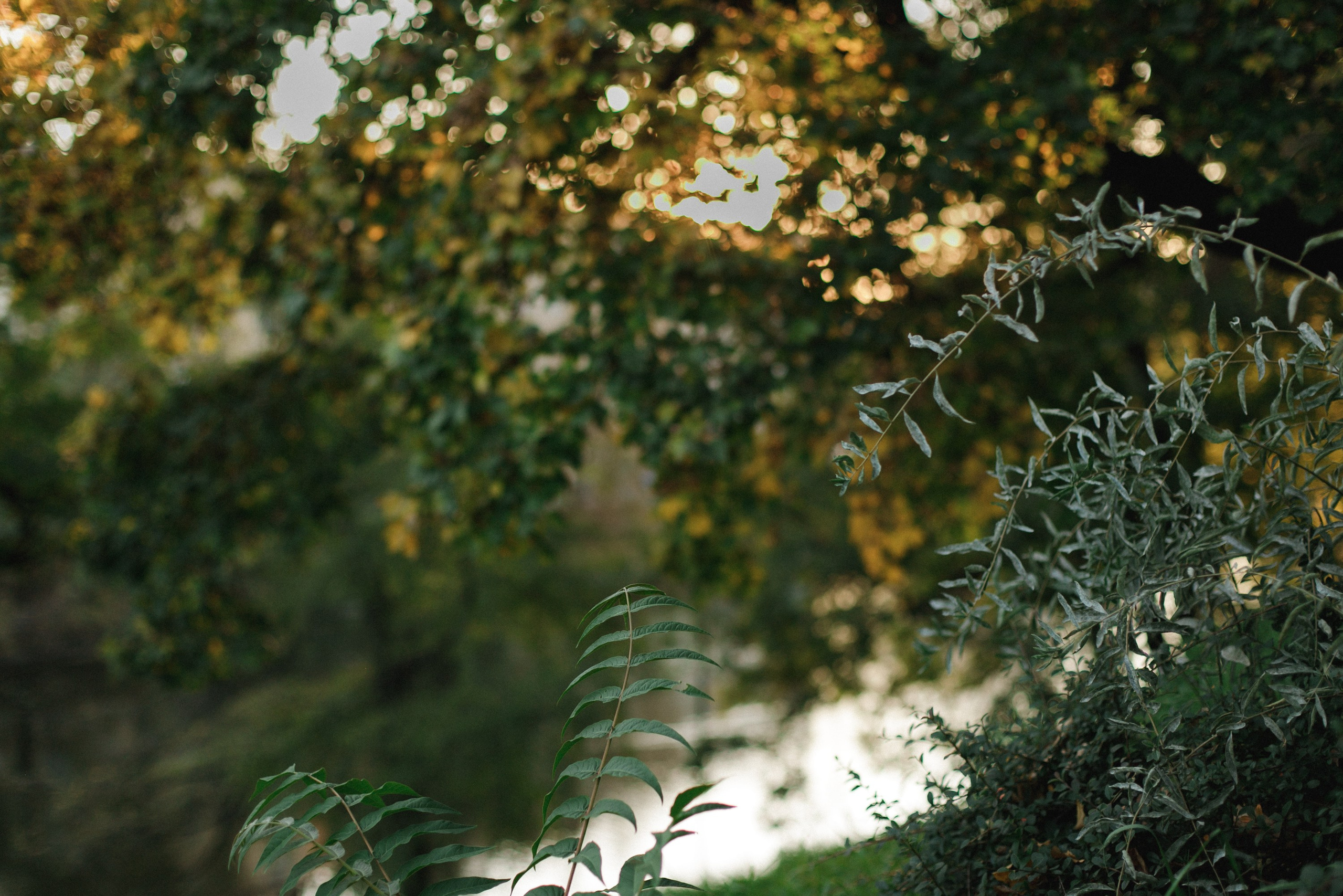Nastya. Kaja | fotograf psów we Wrocławiu