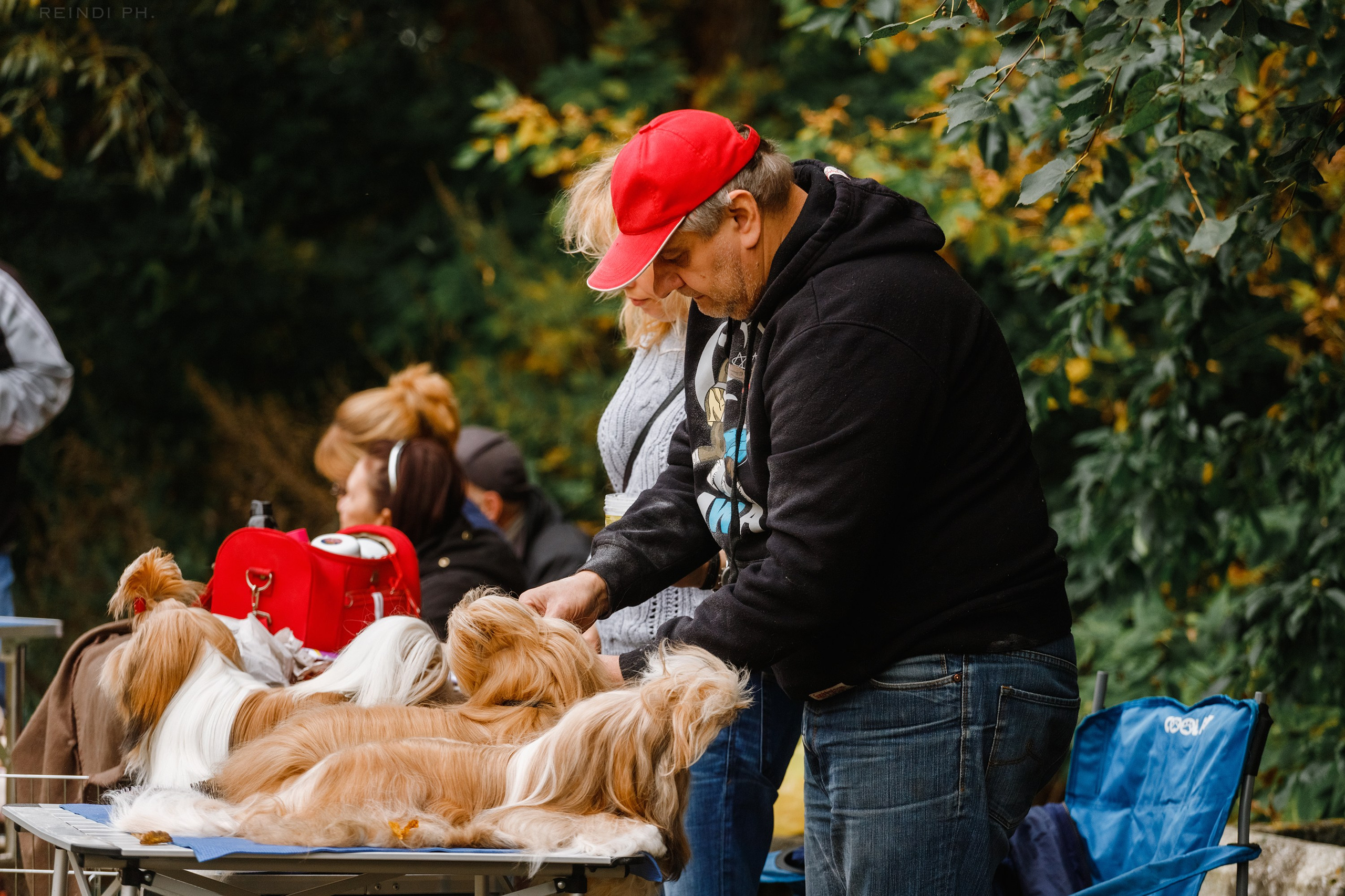«Argus» dog show in Brest. Kaja | fotograf we Wrocławiu | ludzie i psy