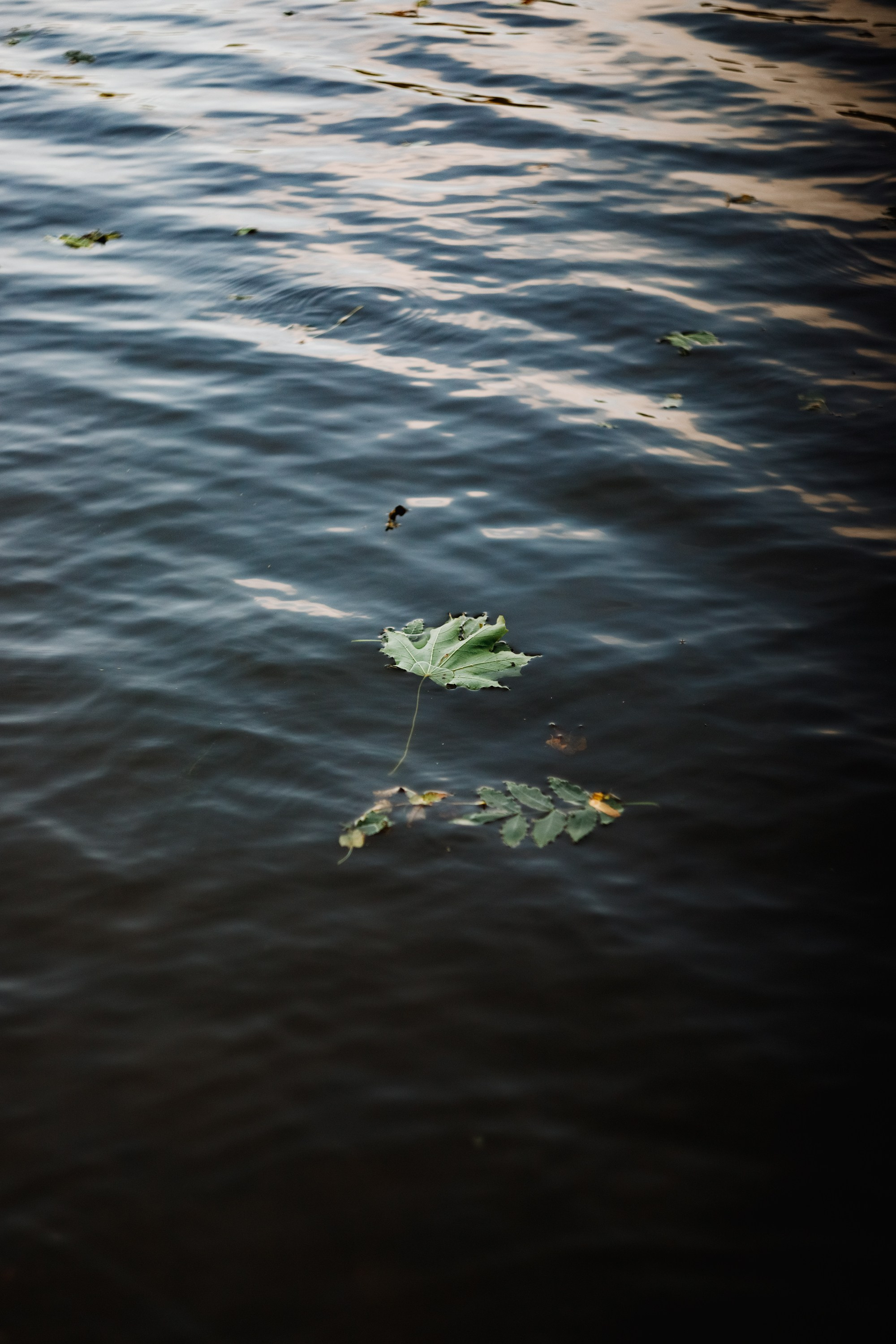 One small village in Grodno region. Kaja | fotograf we Wrocławiu | ludzie i psy