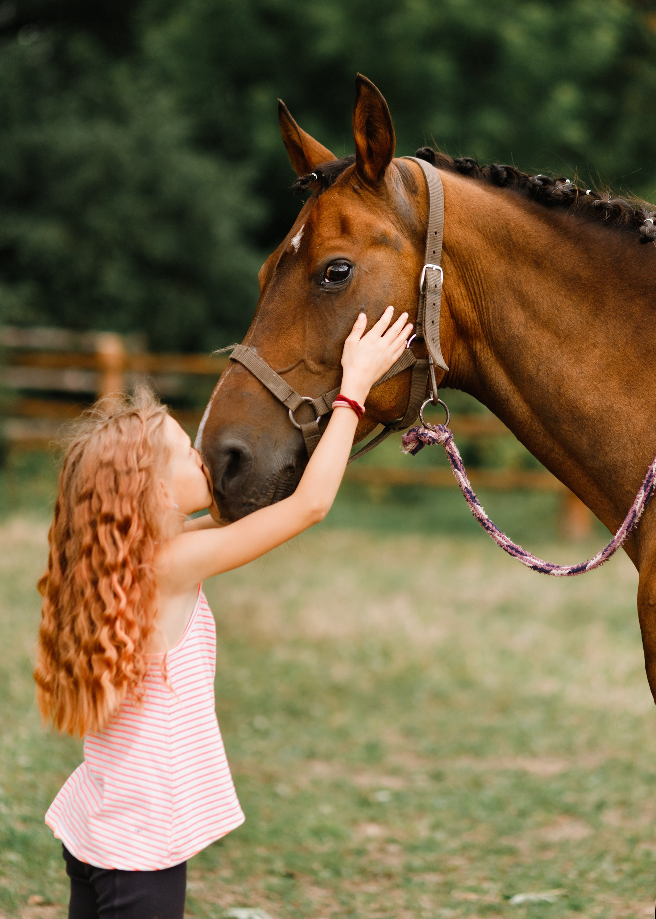 Girls & horses, summer. Kaja | fotograf psów we Wrocławiu