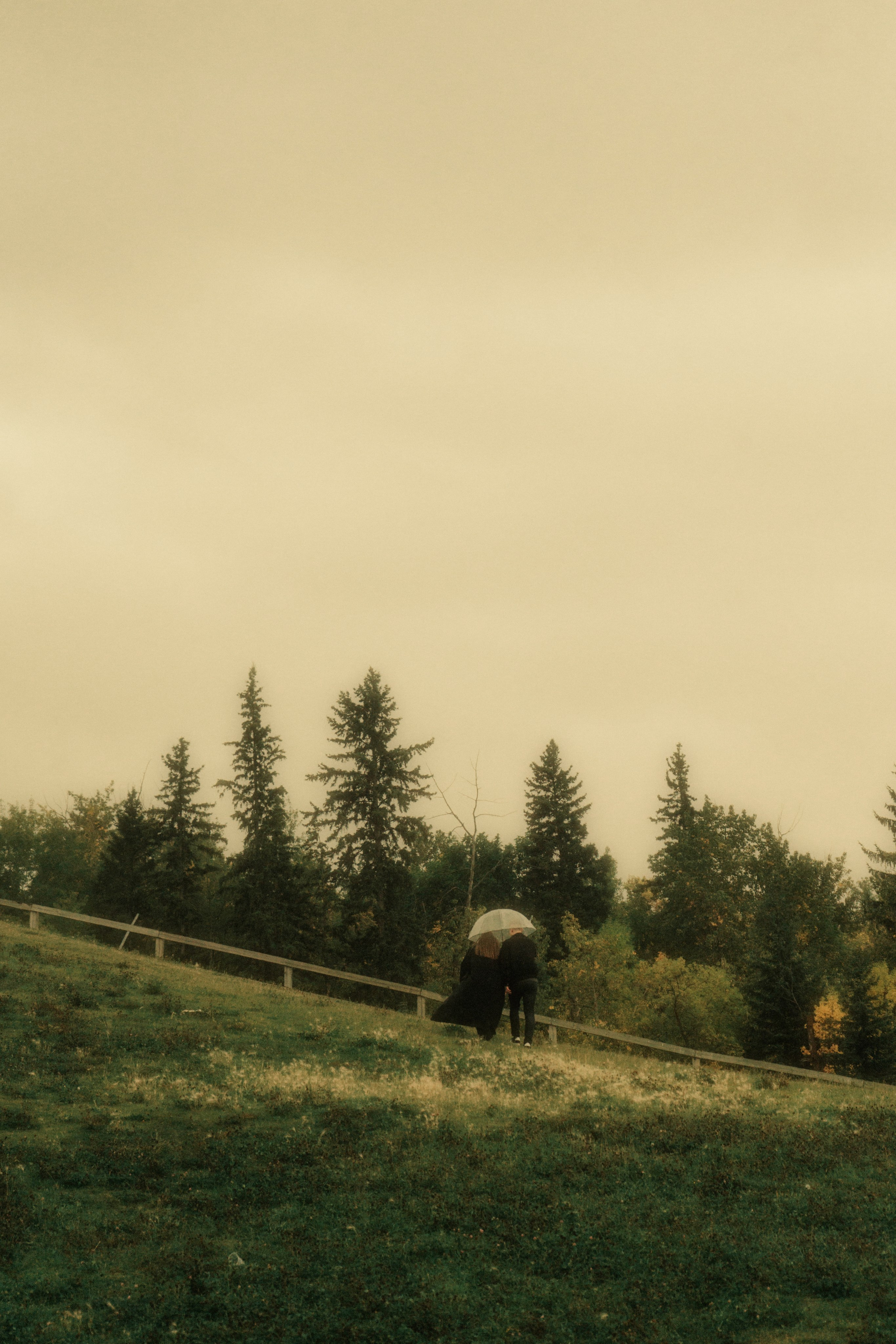 Engagement/Love Story. Abluecat photography