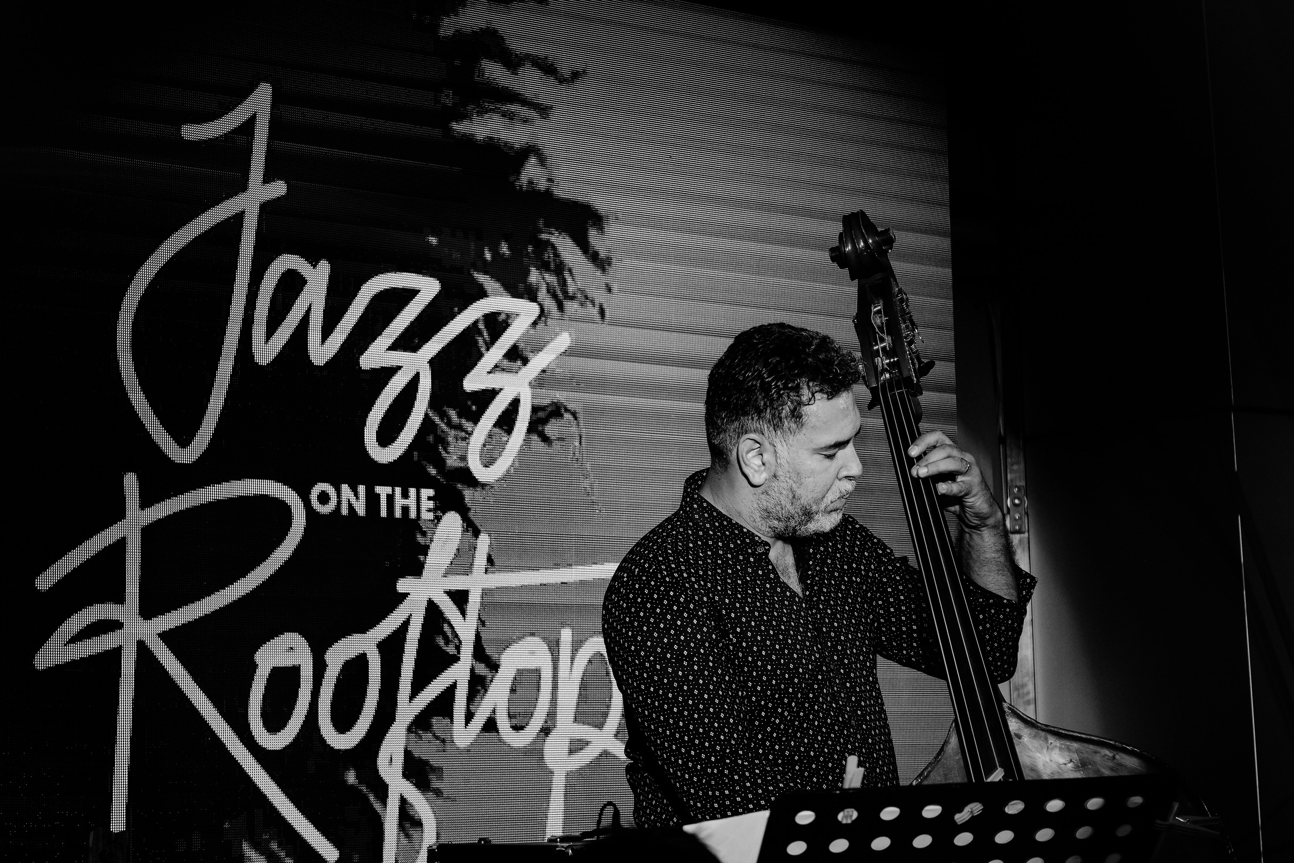 Razvan Cojanu. Hornetart