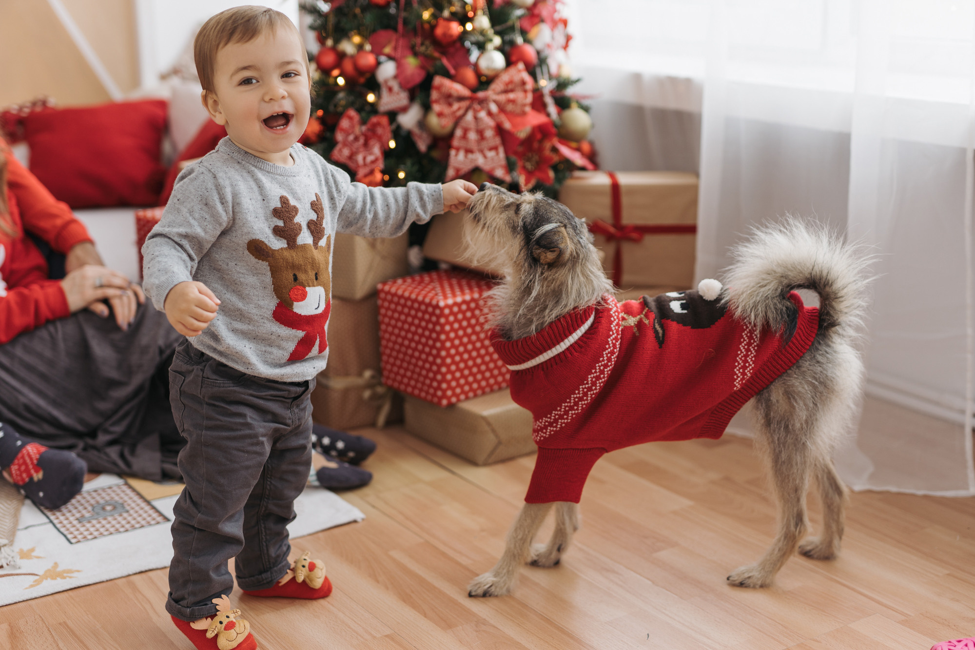 Мария + Красимир = Марти и пес Макс. Фотограф в Болгарии Екатерина Зубкова