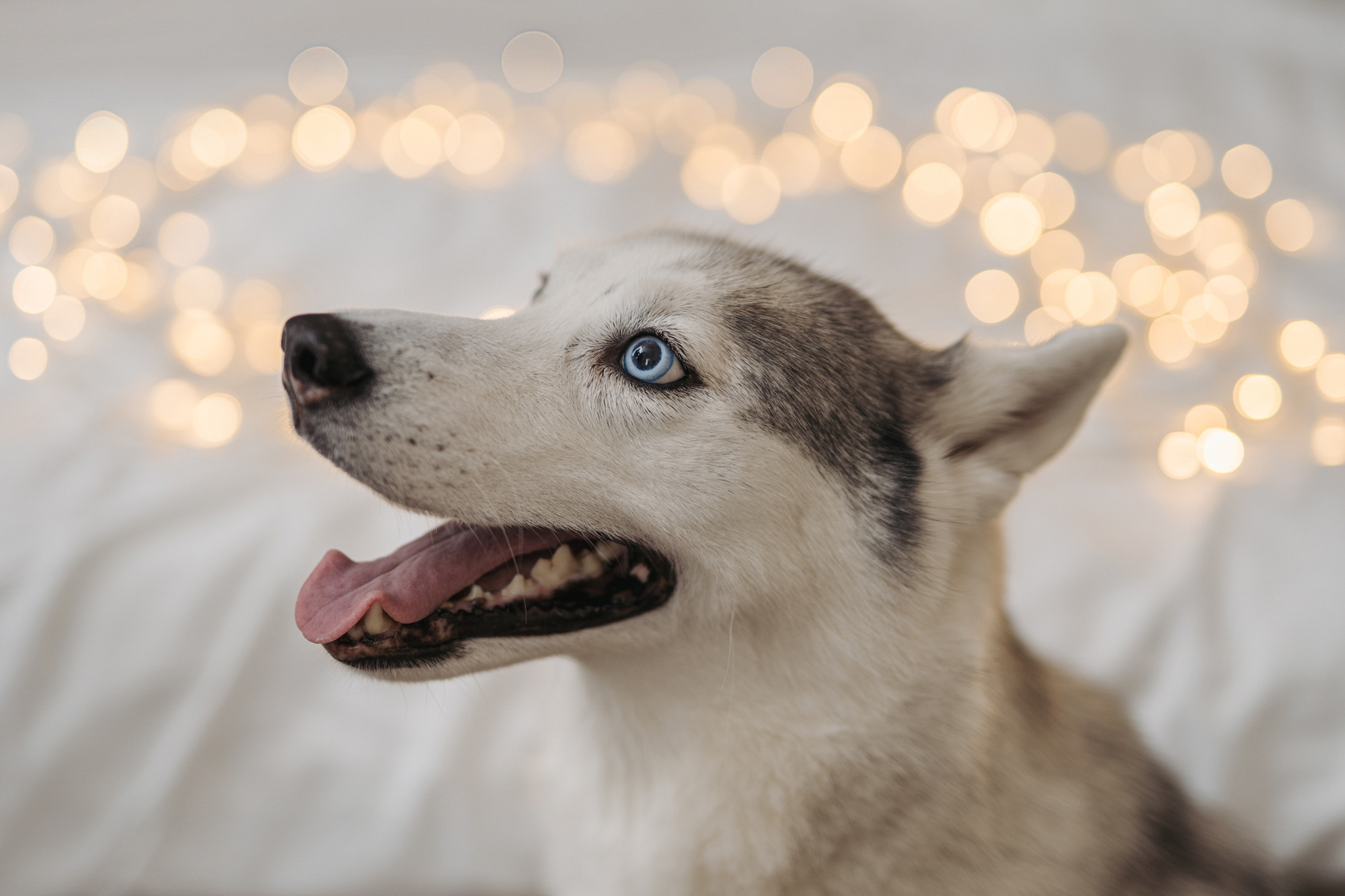 Olga + Roman = Emilia. Photograph in Bulgaria Katerina Zubkova