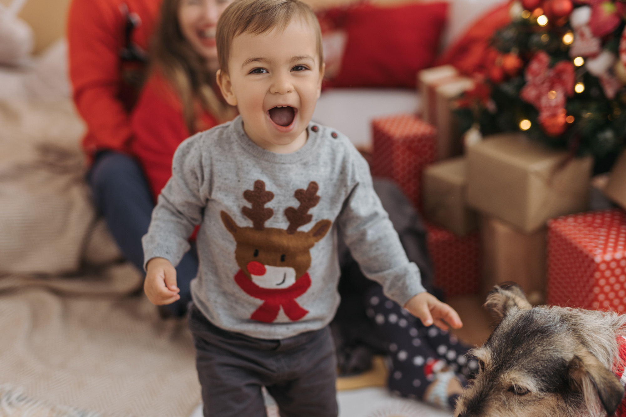 Мария + Красимир = Марти и пес Макс. Фотограф в Болгарии Екатерина Зубкова