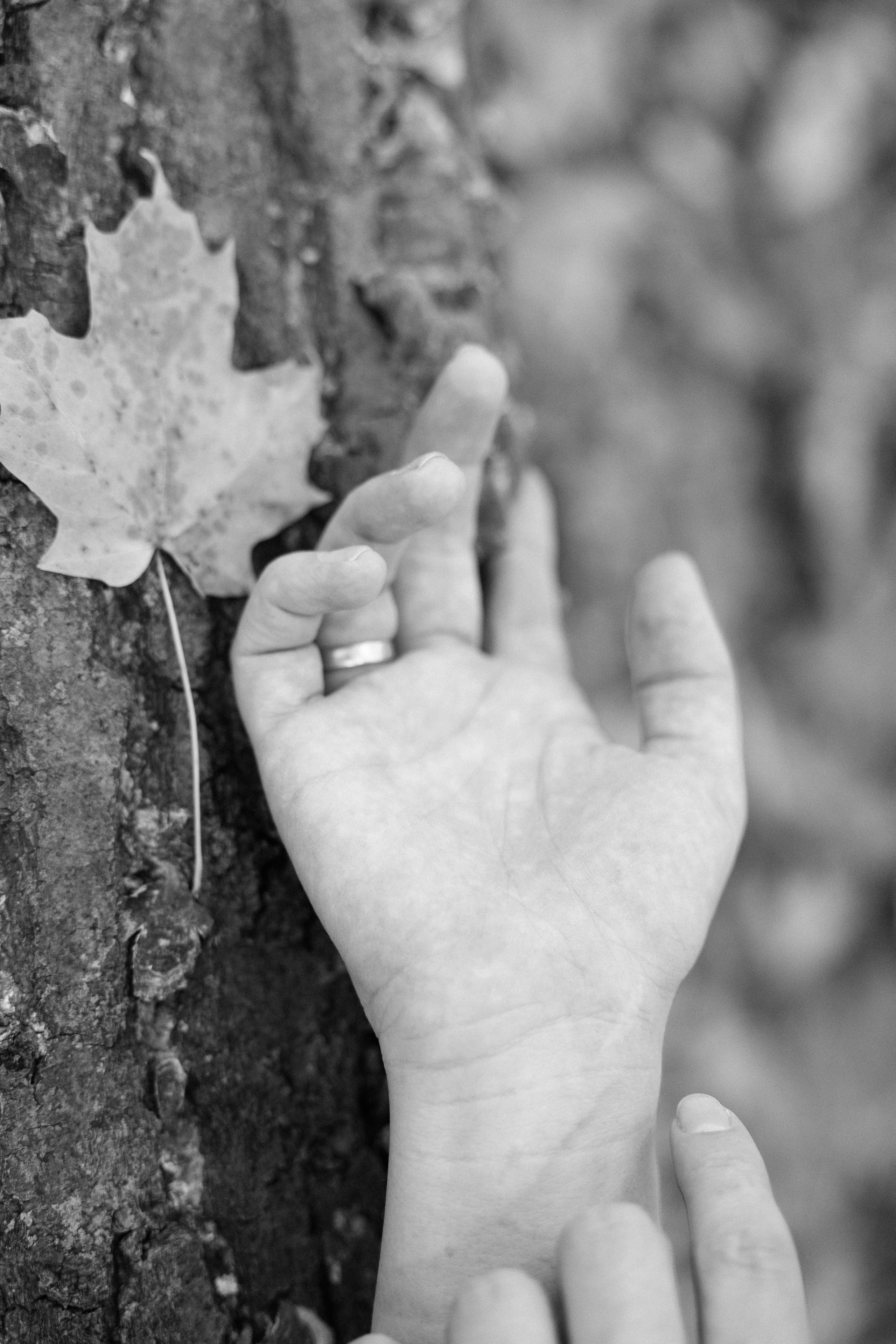 PHOTOGRAPHER JENNY IN CALGARY. I am a portrait and family photographer Jenny in Montreal and Calgary