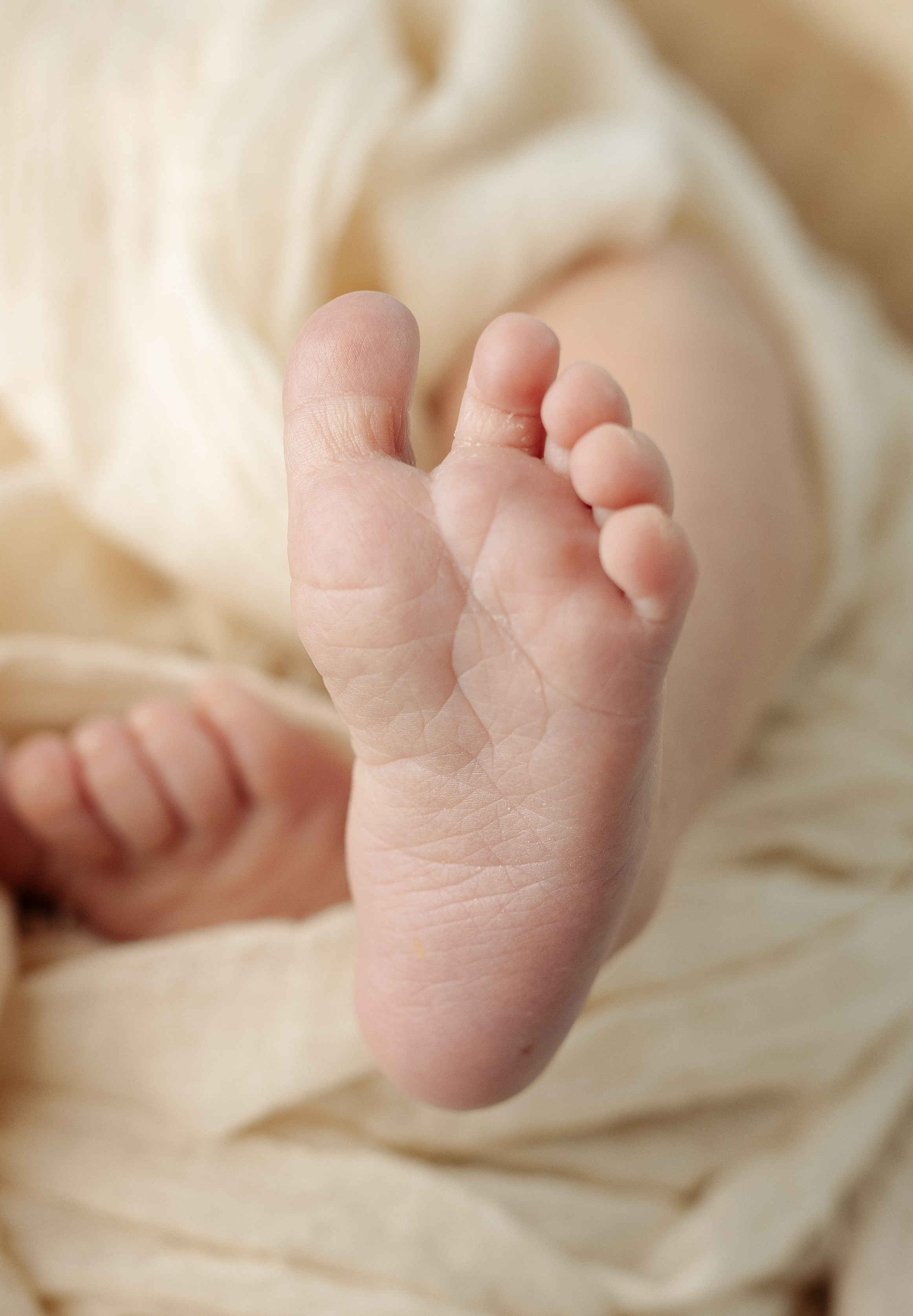 Newborn. Oksana Ganbina Photography