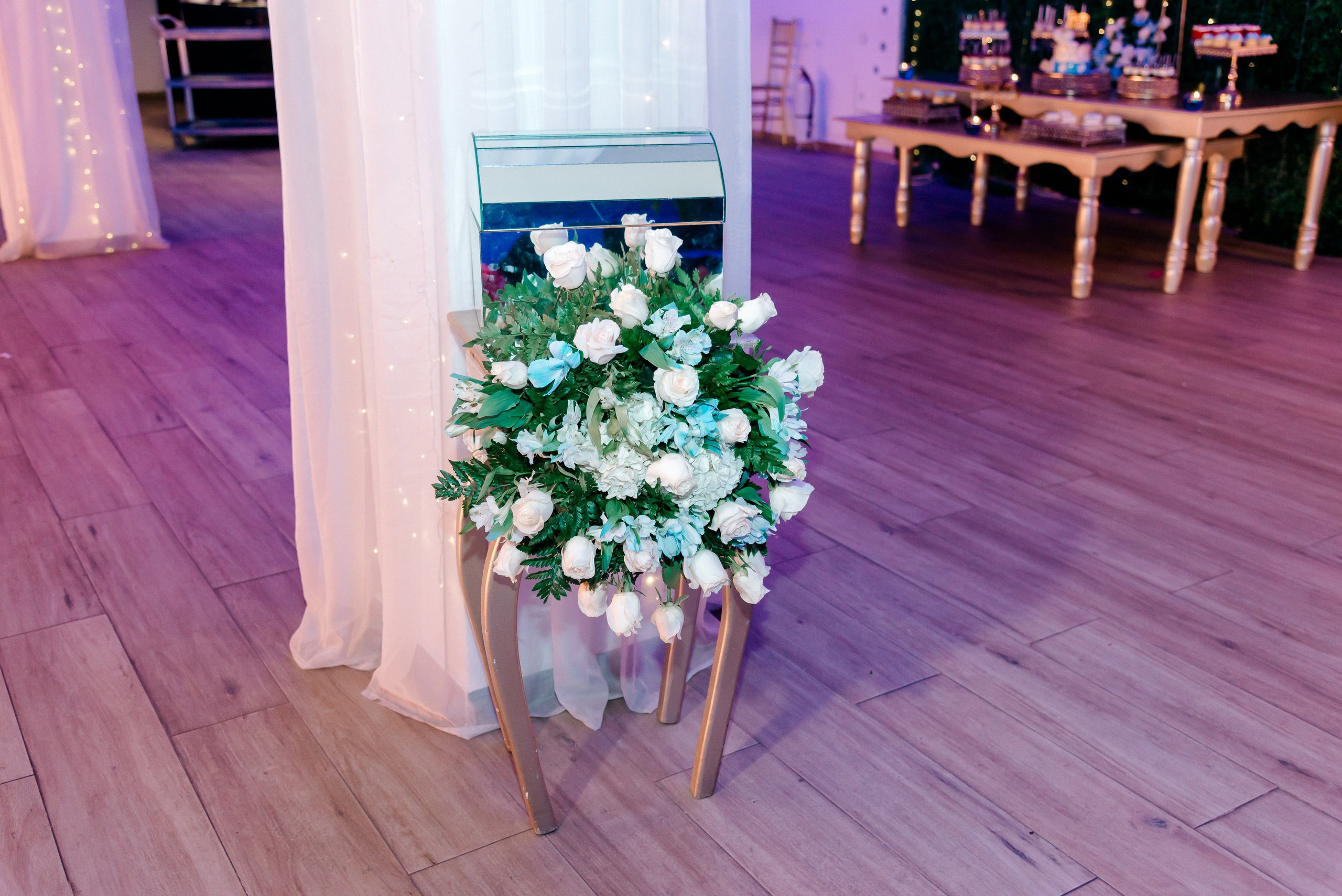 YITZY. Fotógrafo David Yance