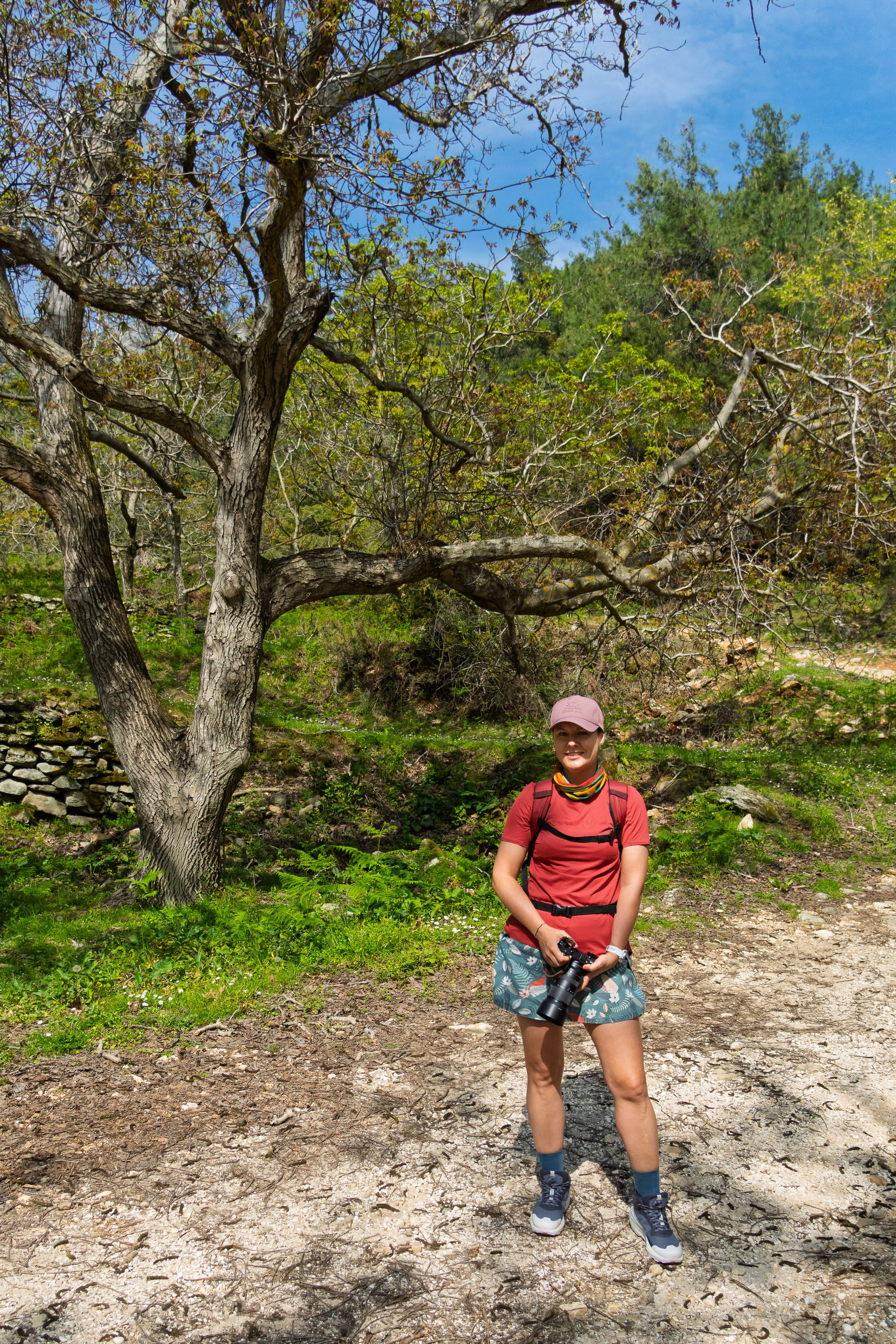 Thasos 2025. Fotografiideplacere.net
