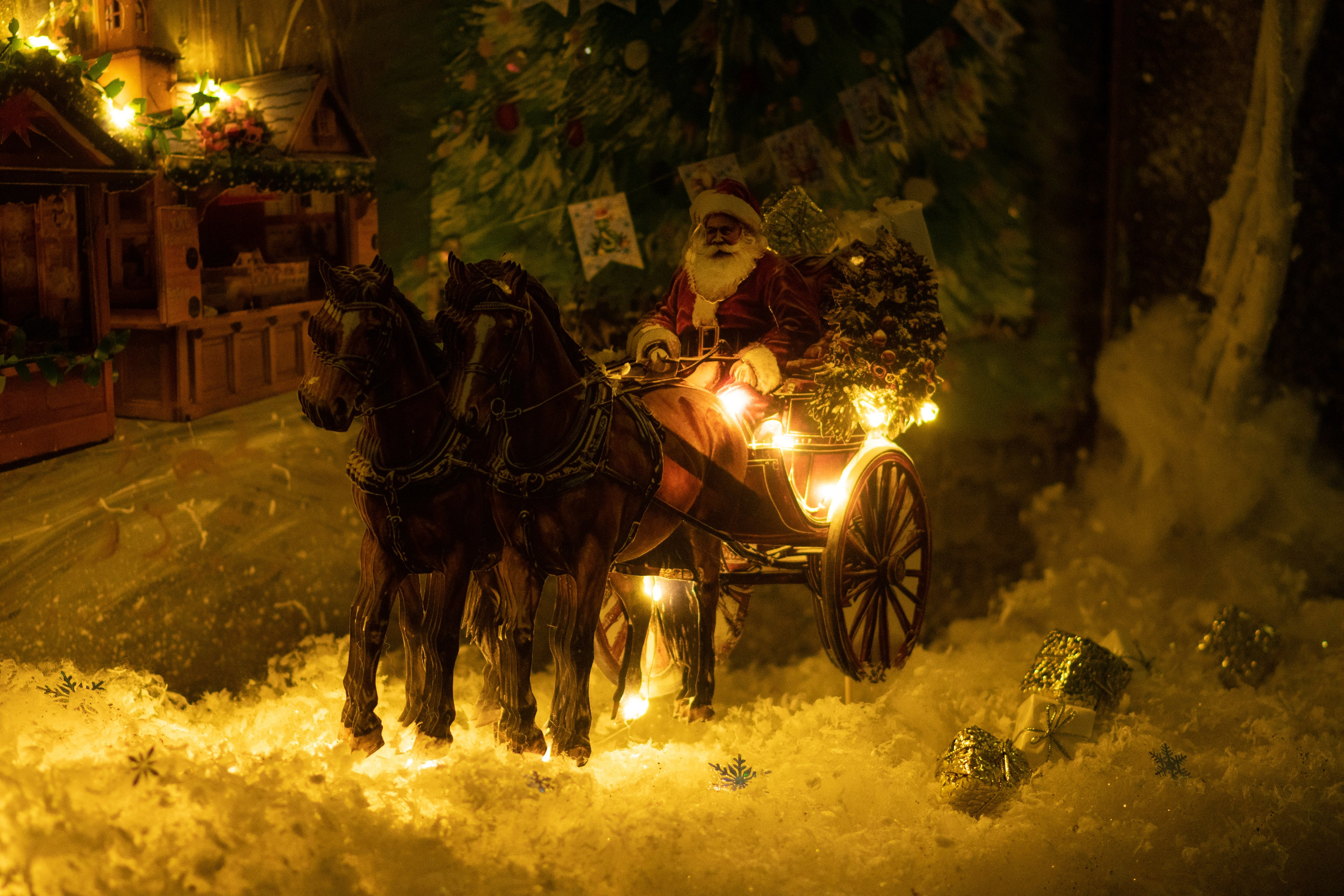 Проект. Семейный и детский фотограф