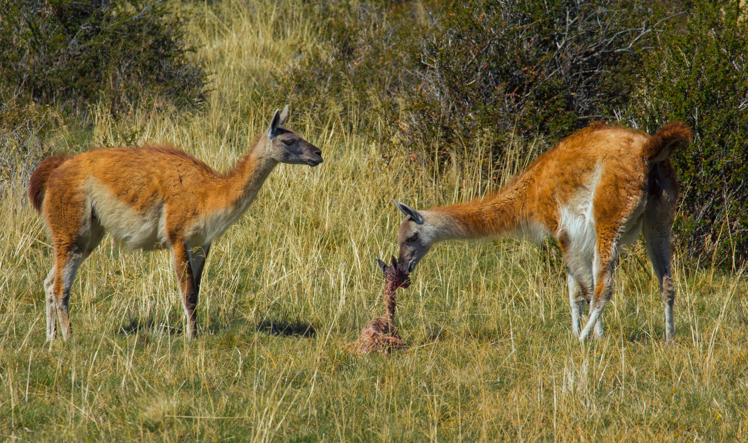 In Color. Helen McLain Photography