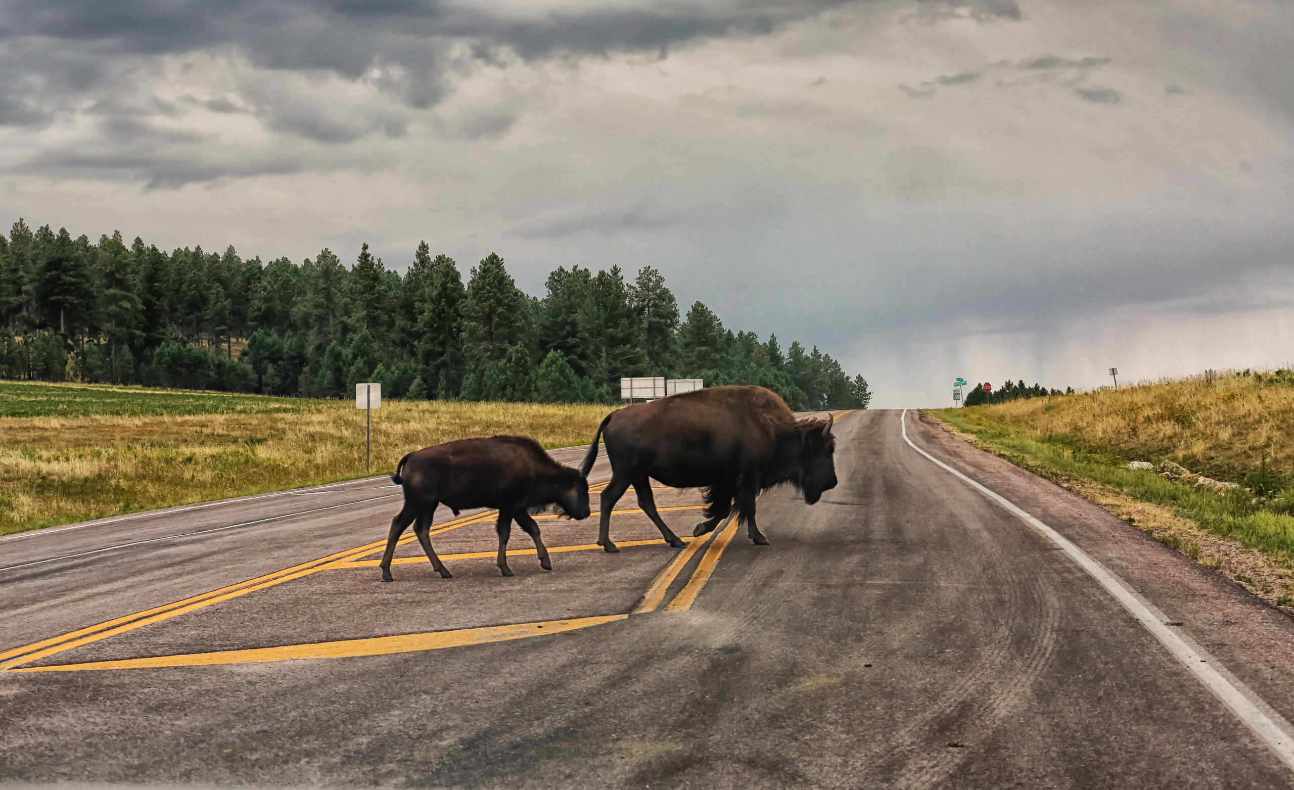 In Color. Helen McLain Photography