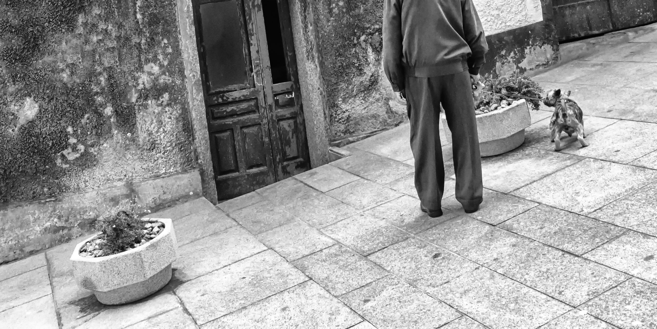 Helen McLain Photography