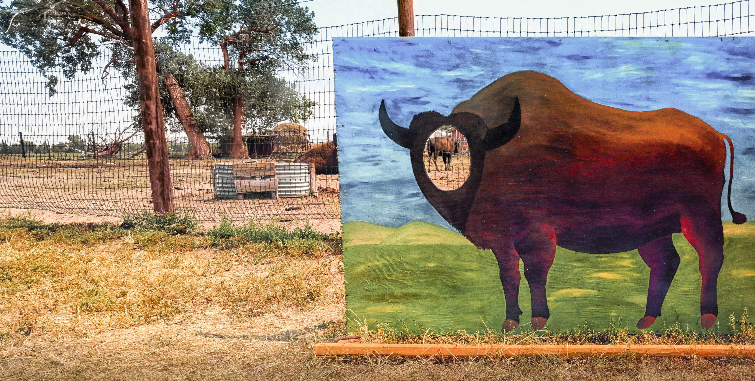 In Color. Helen McLain Photography