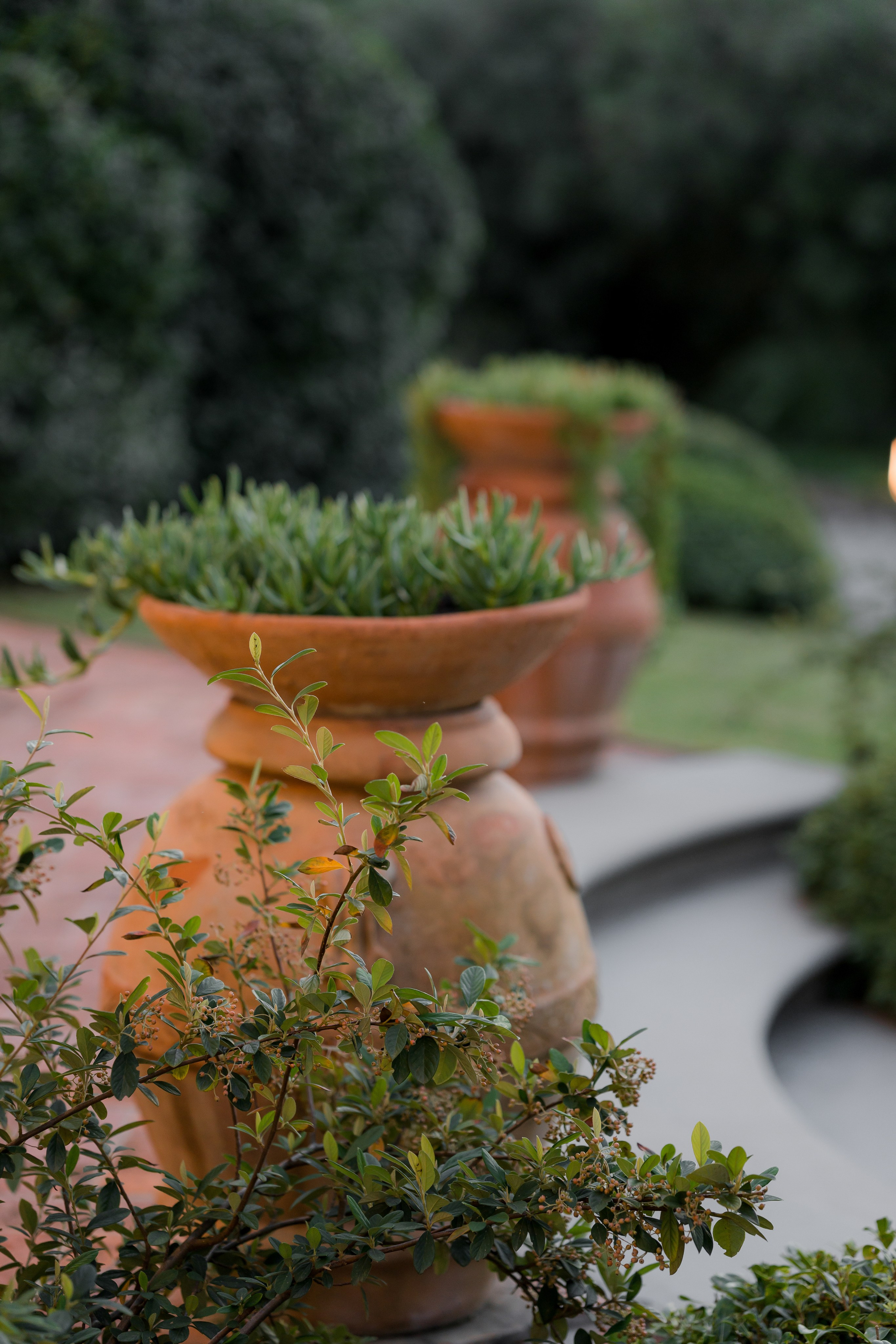 Dom&Ally. Весільний фотограф Вікторія Саврук