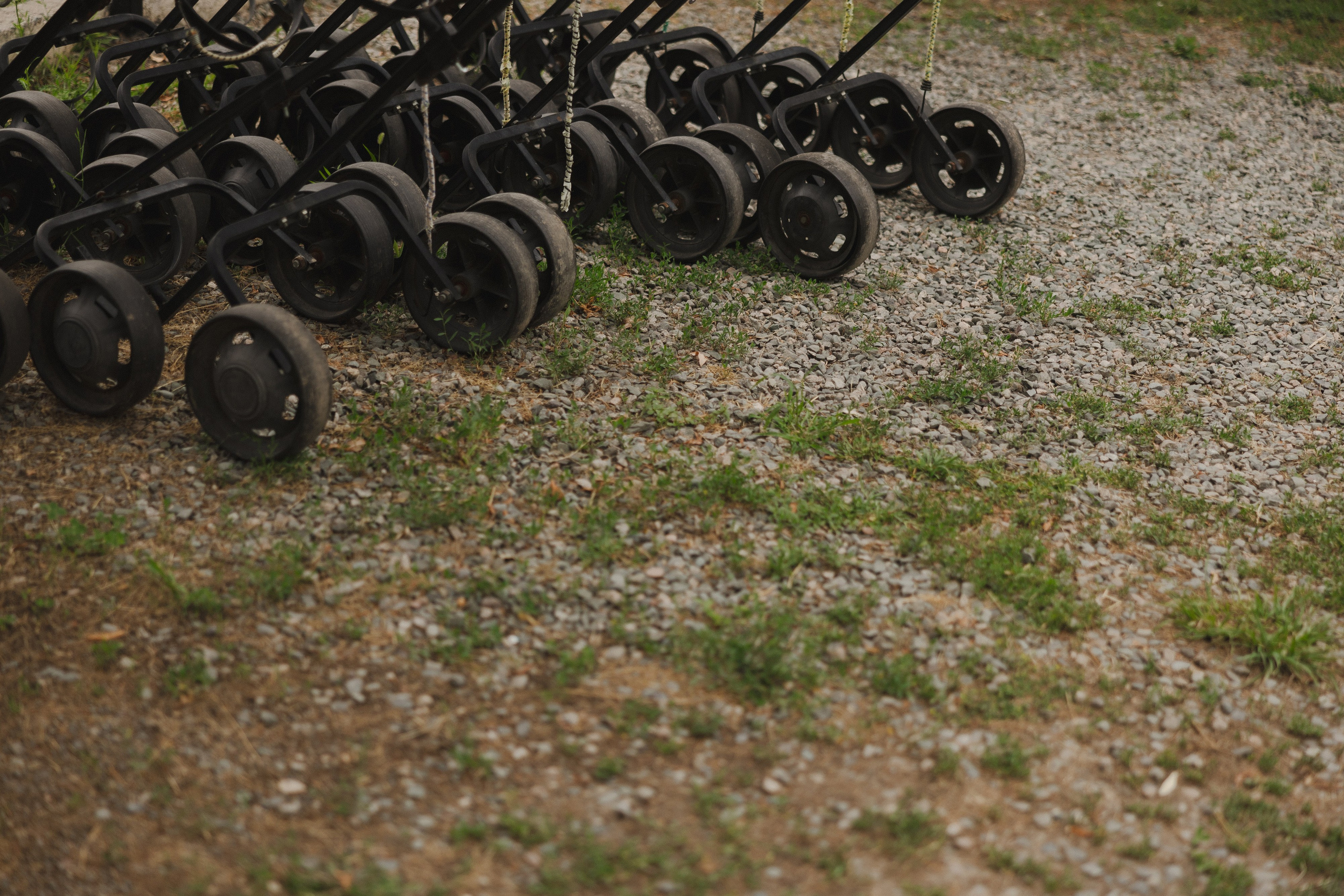 Азиз и Рано. Азимжан Нуритдинходжаев — свадебный фотограф