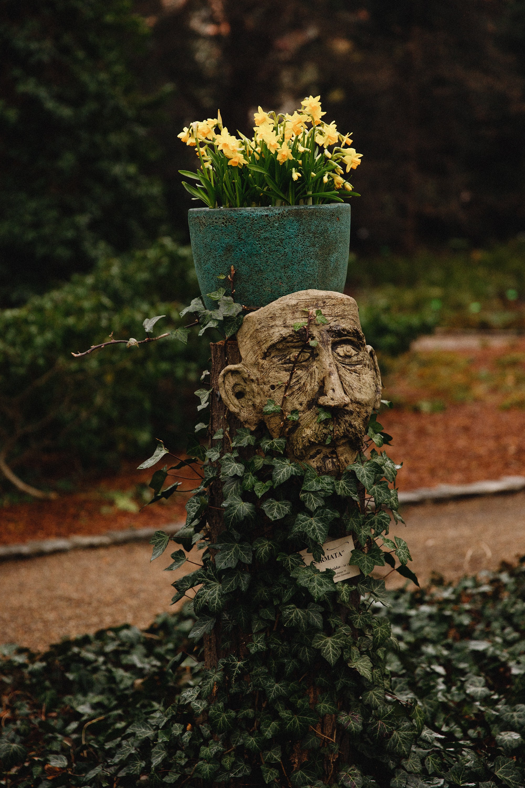 Botanical garden in Wroclaw. Kaja | fotograf we Wrocławiu | ludzie i psy