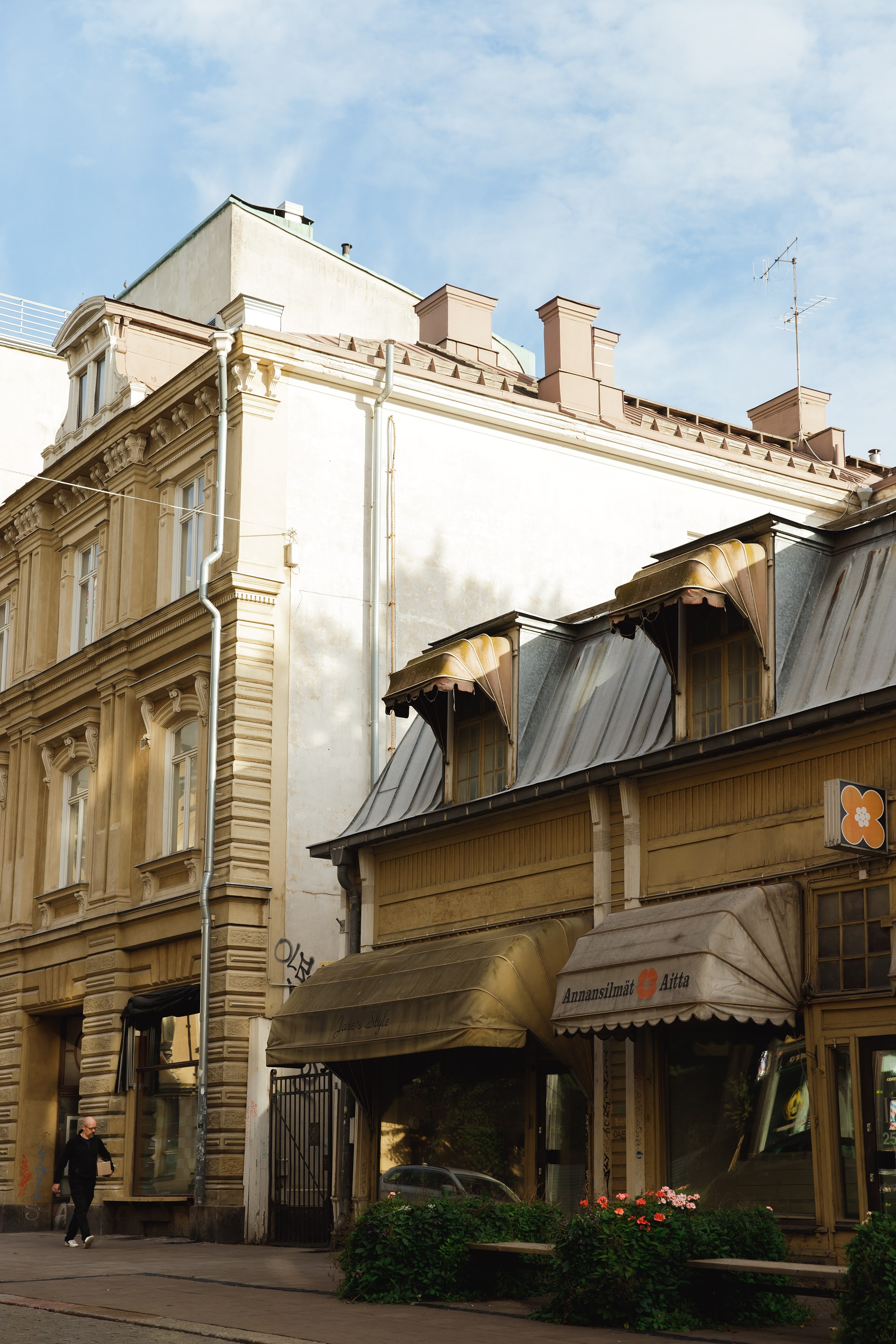 Turku. Kaja | fotograf psów we Wrocławiu