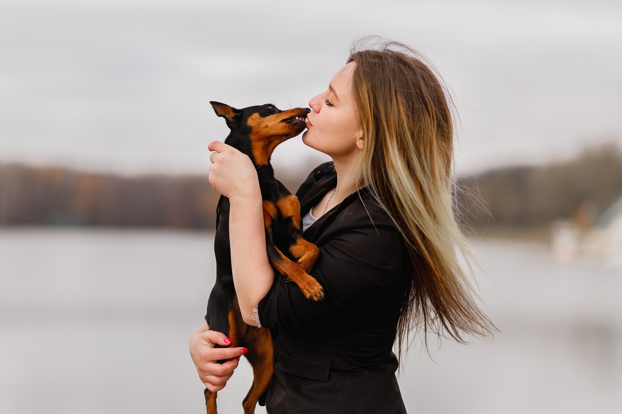 Dog shows | the best ones. Kaja | fotograf psów we Wrocławiu