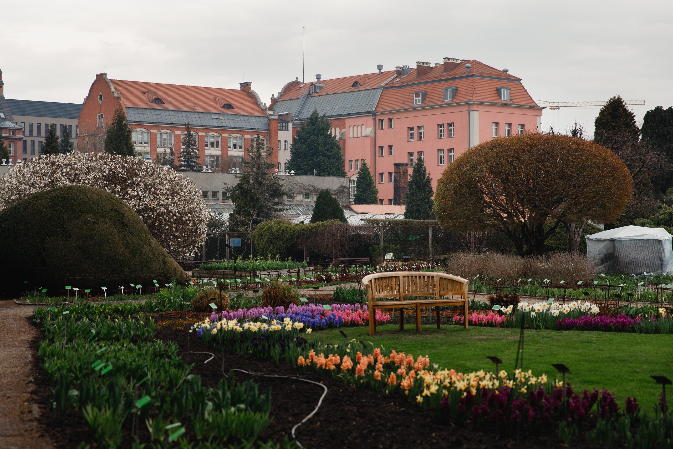 Botanical garden in Wroclaw. Kaja | fotograf we Wrocławiu | ludzie i psy