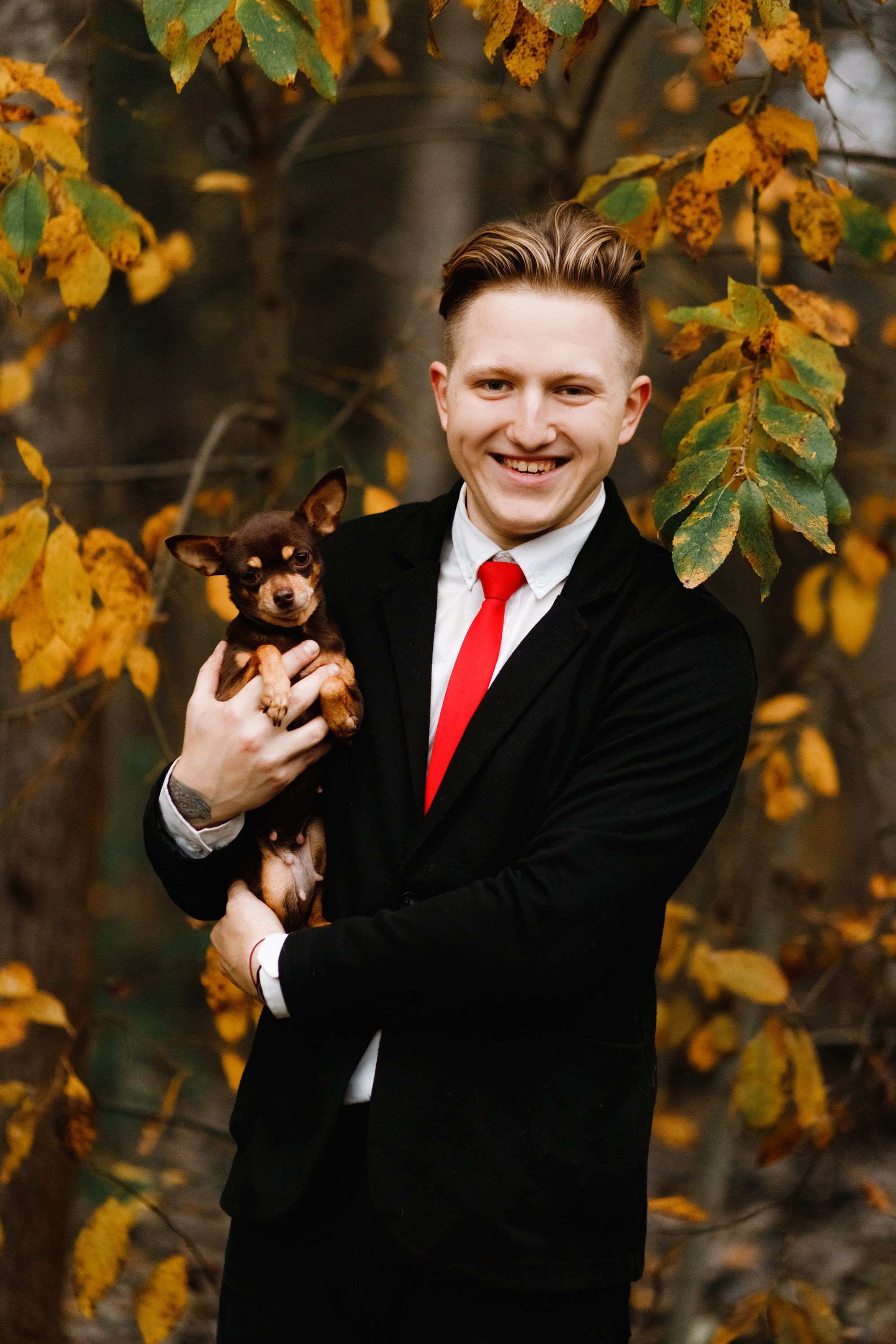 Dog shows | the best ones. Kaja | fotograf psów we Wrocławiu