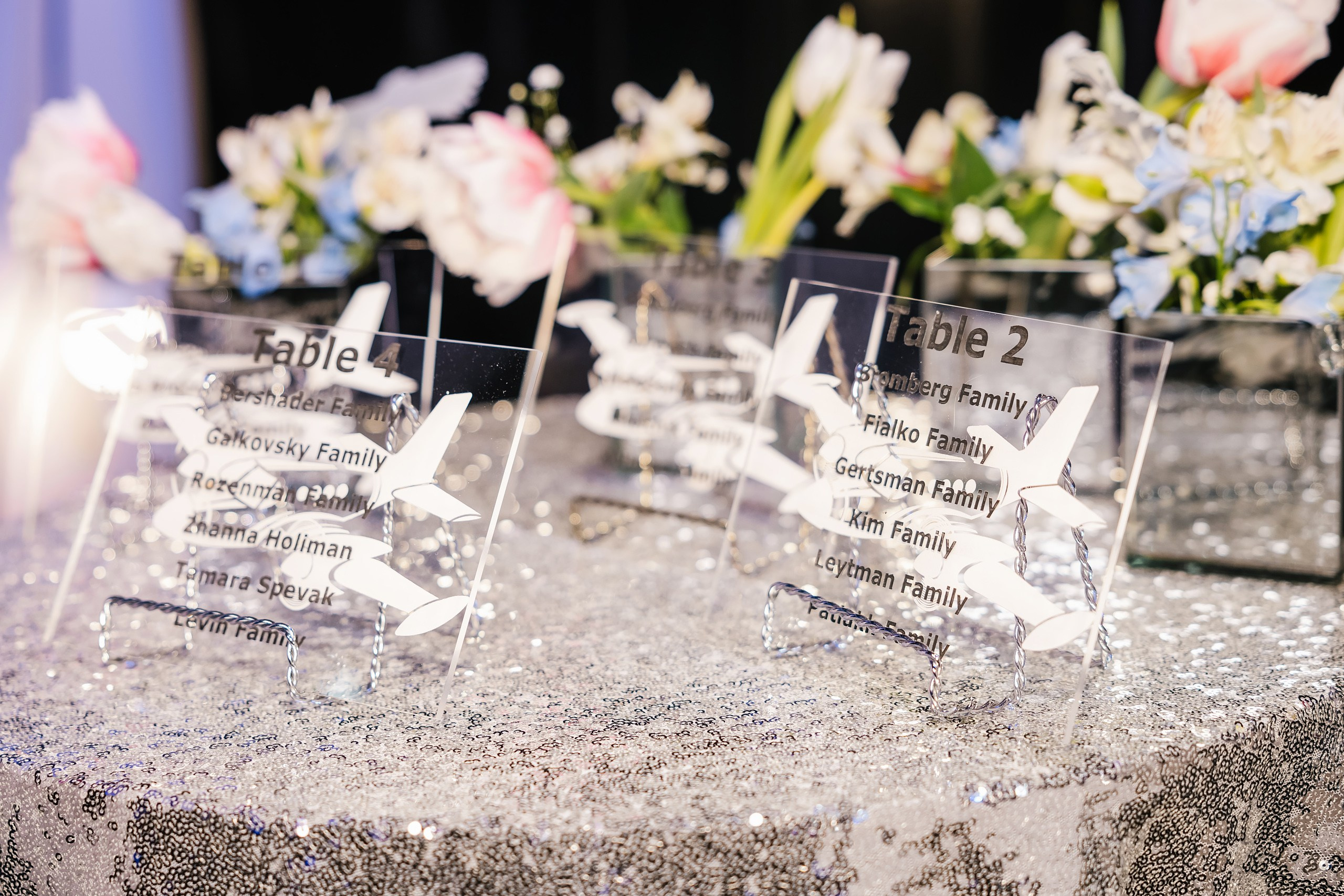 02.10.2024 Birthday Party. Wedding family event photographer in Chicago Nick Yushevich