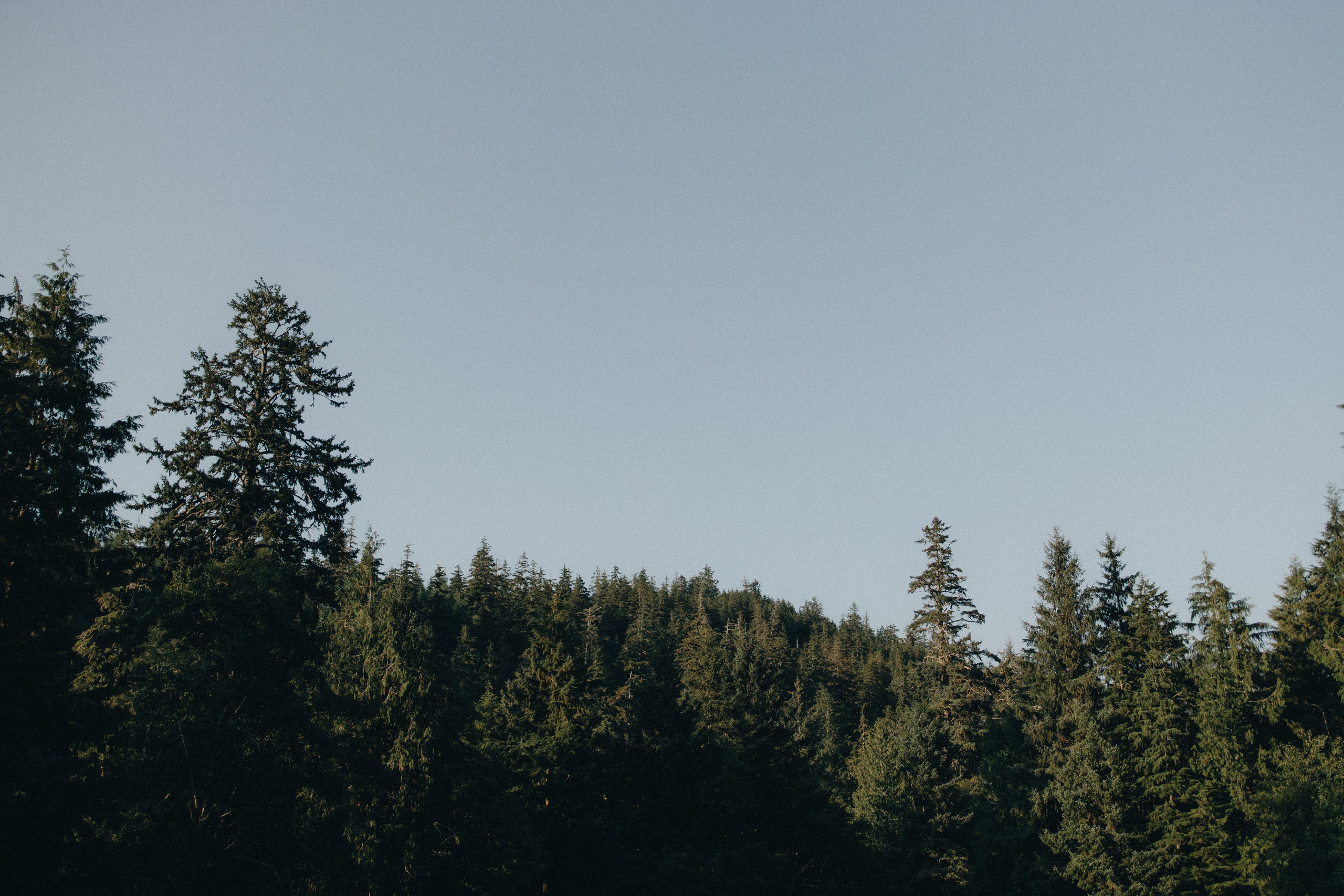 Engagement Photography at Cannon Beach | Jessie & Isaac's Session by Georgy Shishkin | Capturing Moments in Portland, Seattle, Bend & Oregon. Capturing Love in the Heart of the Pacific Northwes