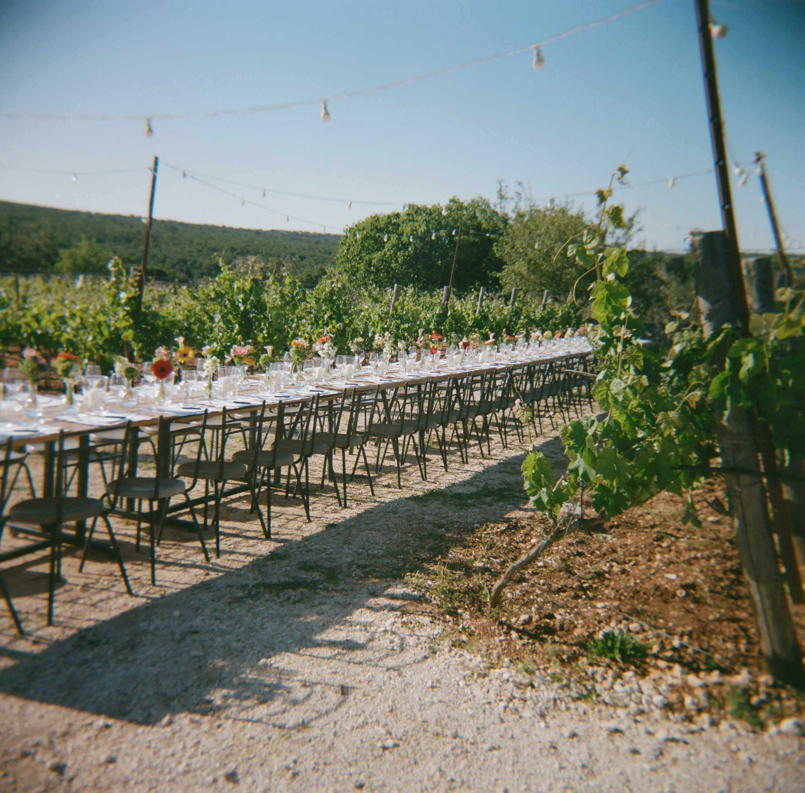 Stephanie & Christian film photos. Весільний фотограф Вікторія Саврук