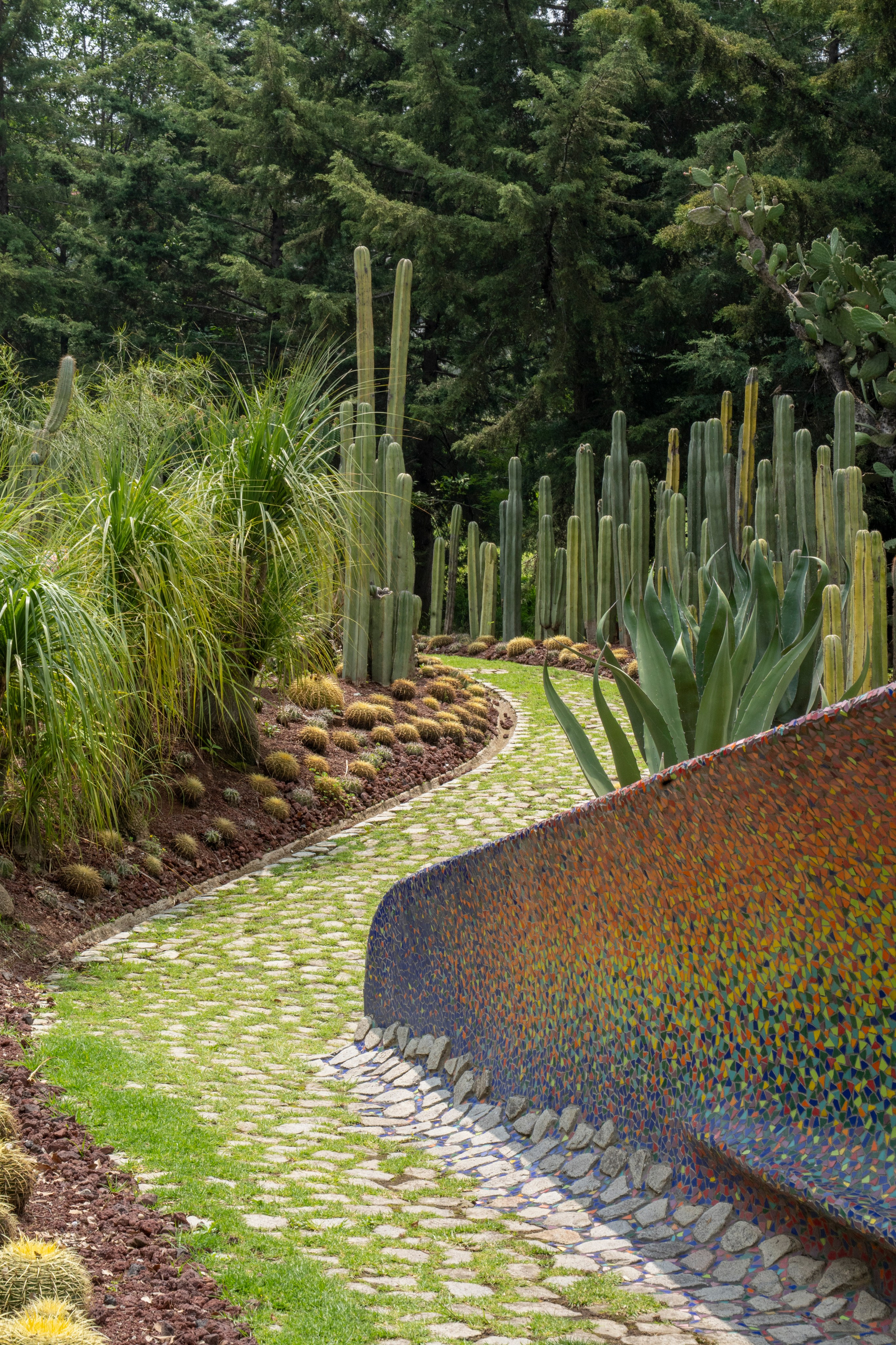 Proposal. Catrina Frolova photography