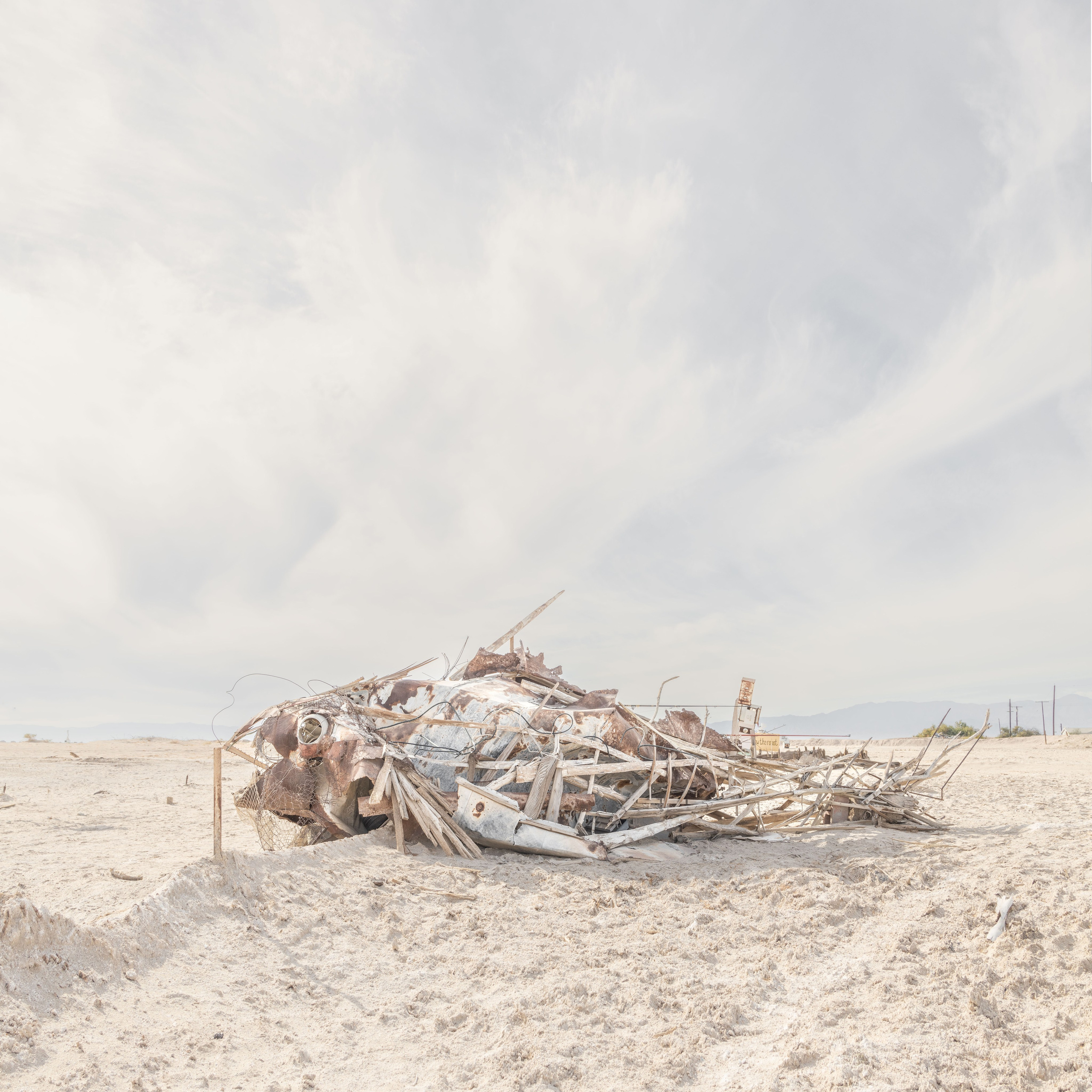 Salton Sea Legends. Olga Serebryannaya Travel Photography