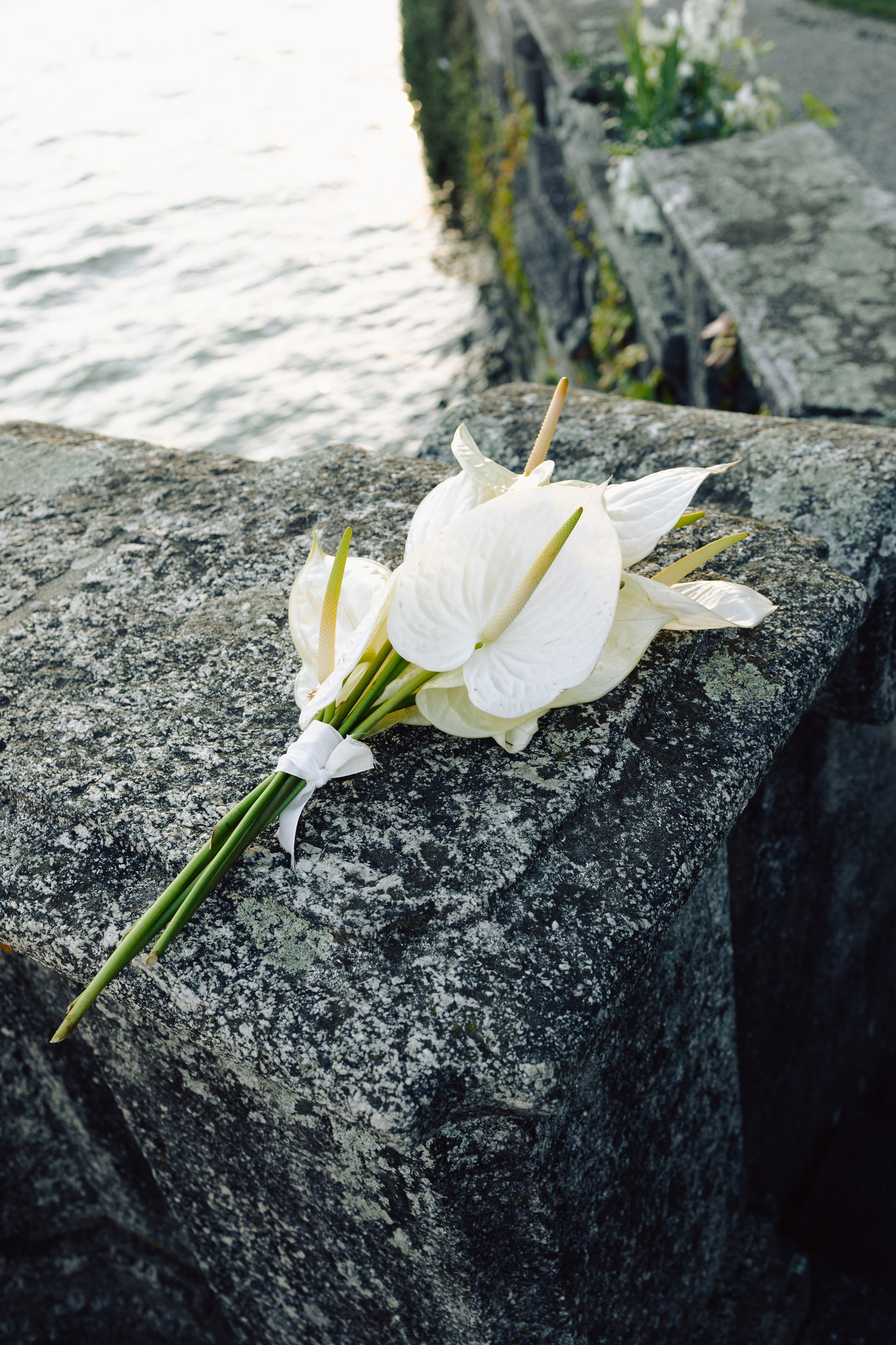 Intimate Elopement by Lake Como in Tremezzo, Italy — Ivanka and Stas. Liza Bizzaro — Italy Wedding, Love Story & Portrait Photographer in Milan, Turin, Piedmont and Across Italy