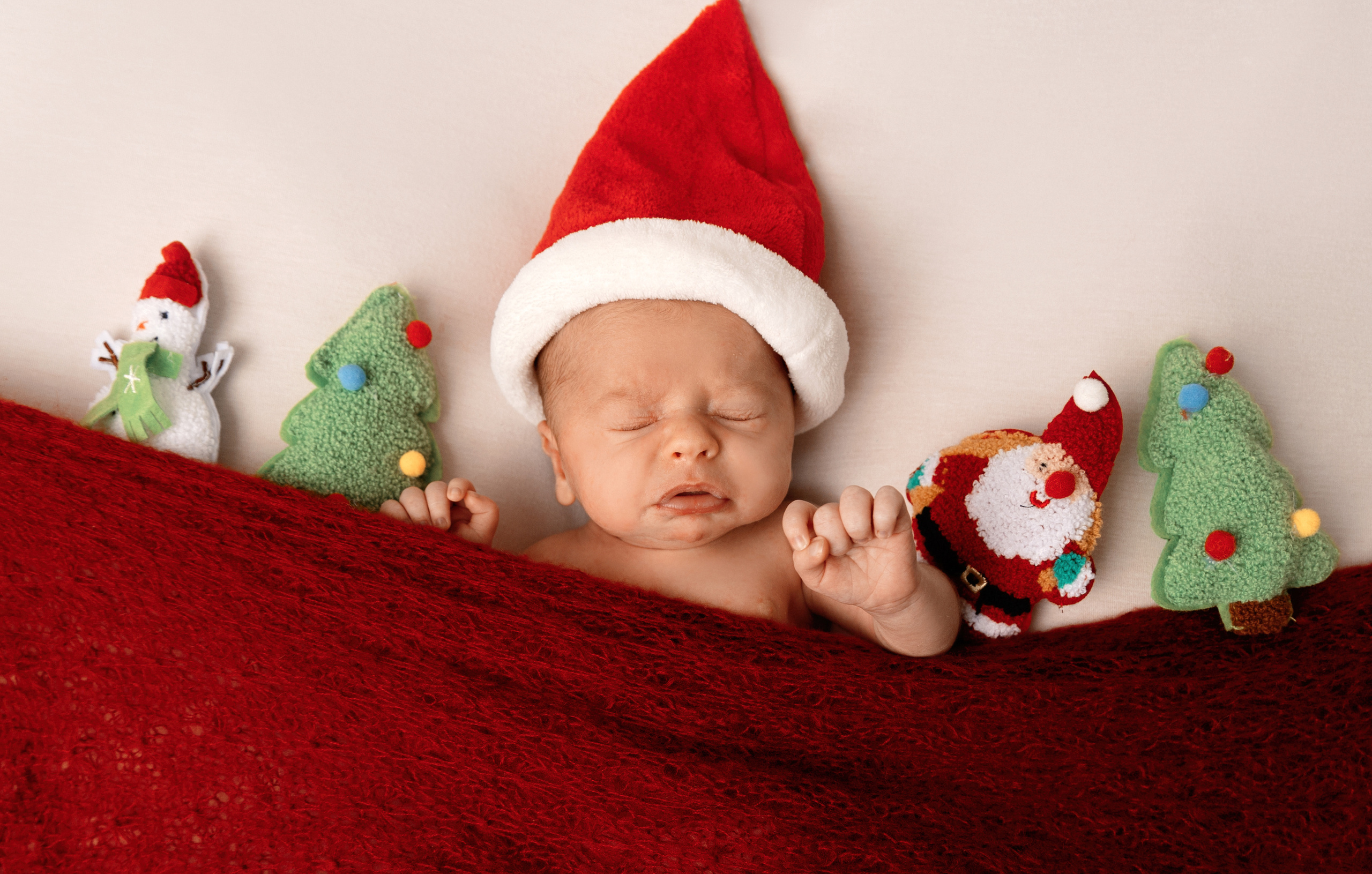 Newborn. Professional photographer in NYC Kristina Bagdasaryan