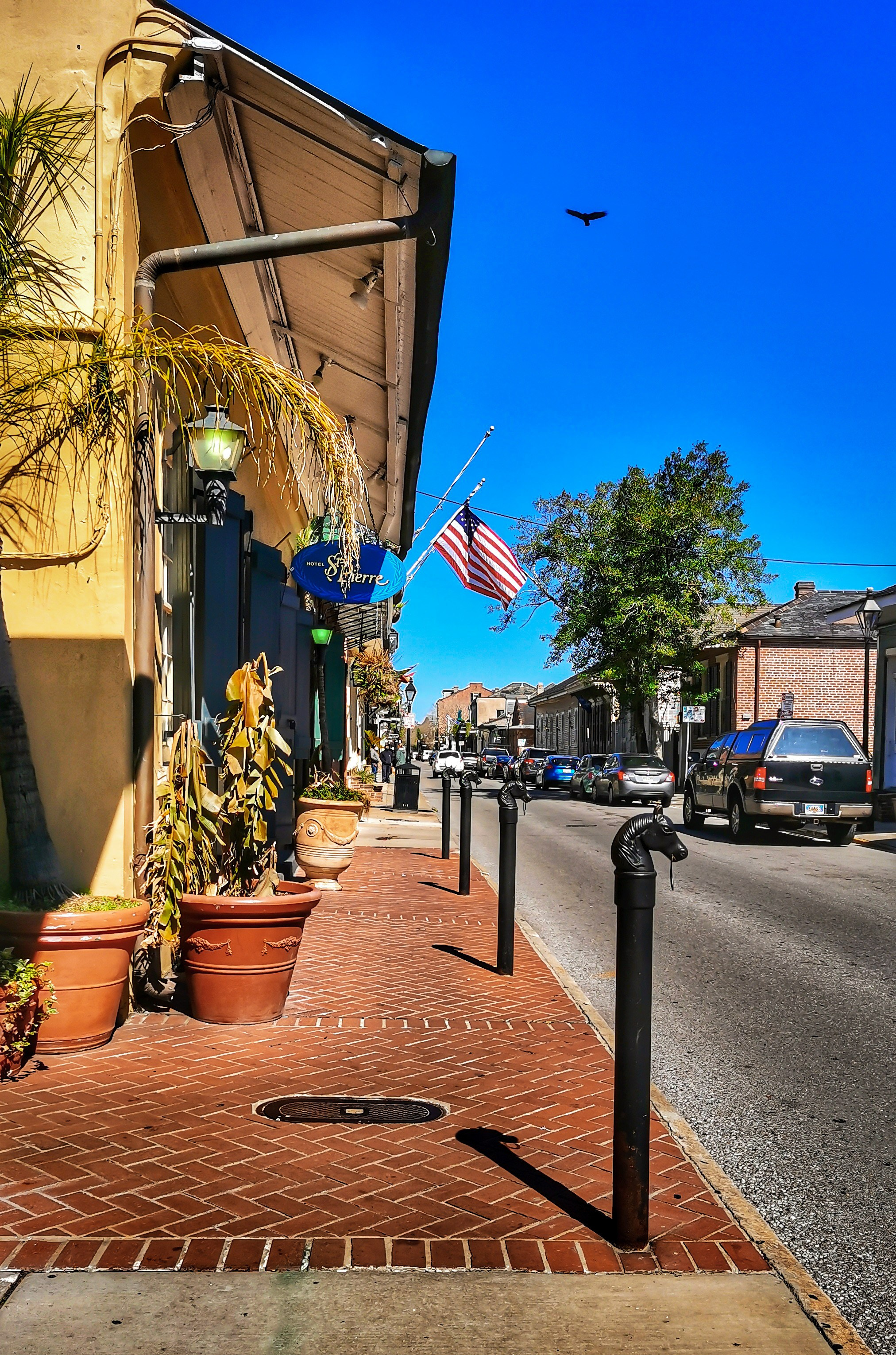 Photo walk in New Orleans Louisiana. Victoria Fedoseenko. Photographer from Serbia