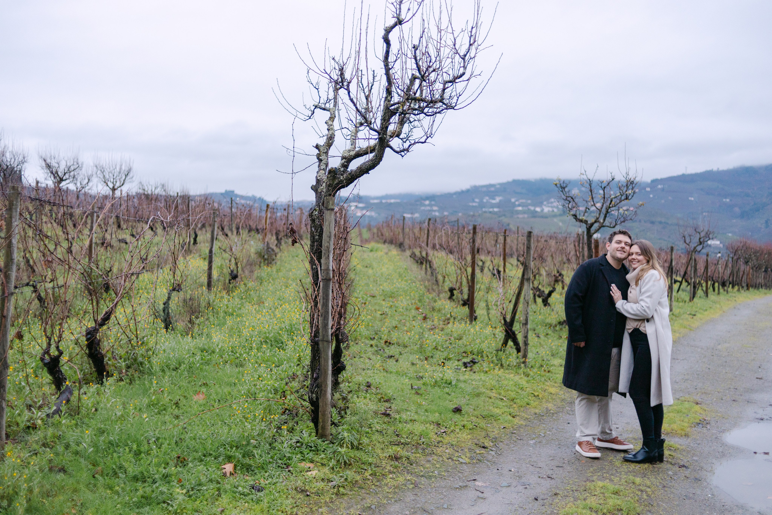 Proposal Sandro — Quinta Pacheca. Wedding and couple photographer in Porto