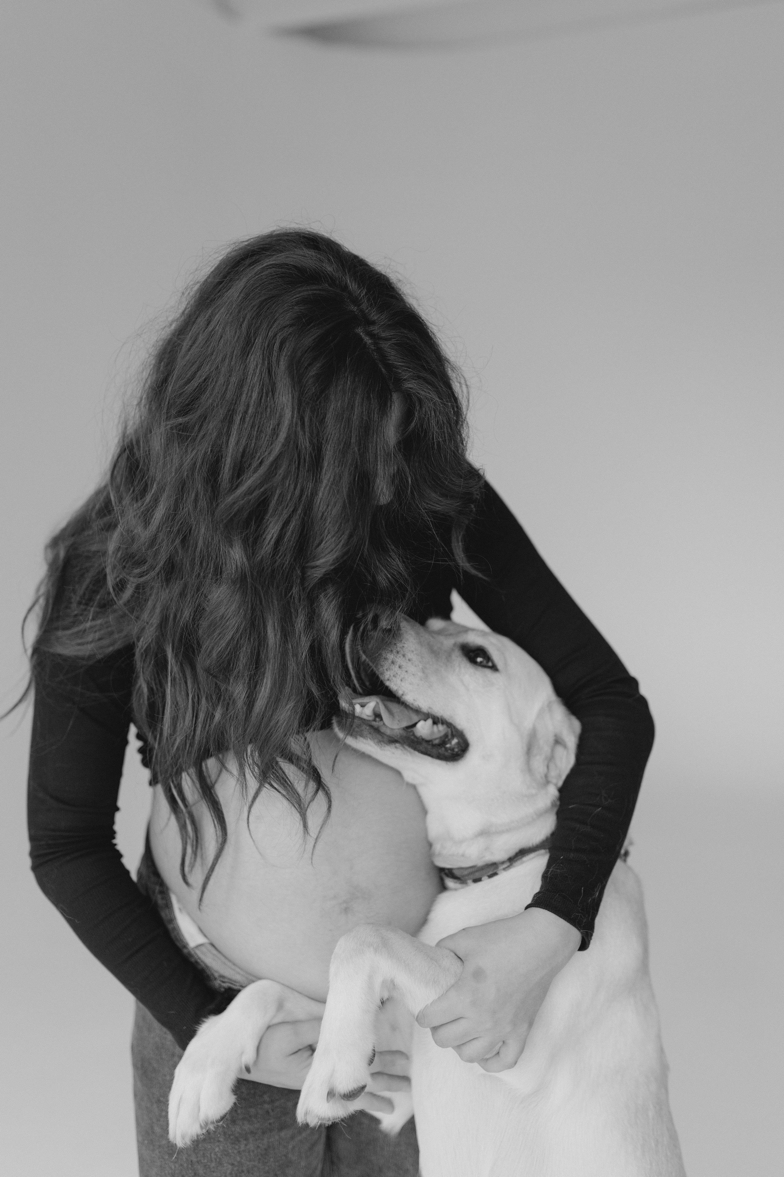 Pregnant Story. Main