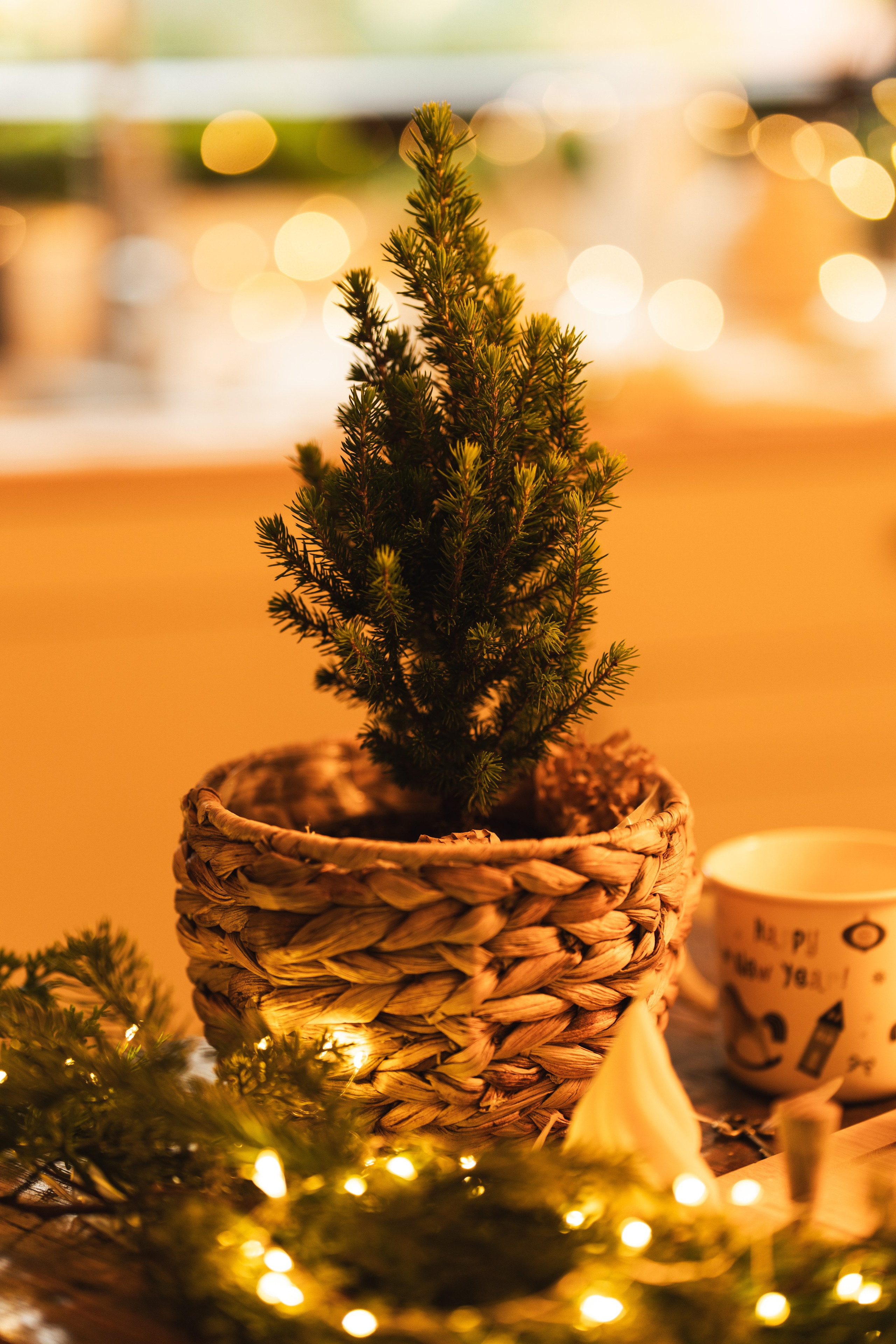 Studio Colentina. Fotograf evenimente. Fotograf nunta. Fotograf Botez. Mihaela Savu