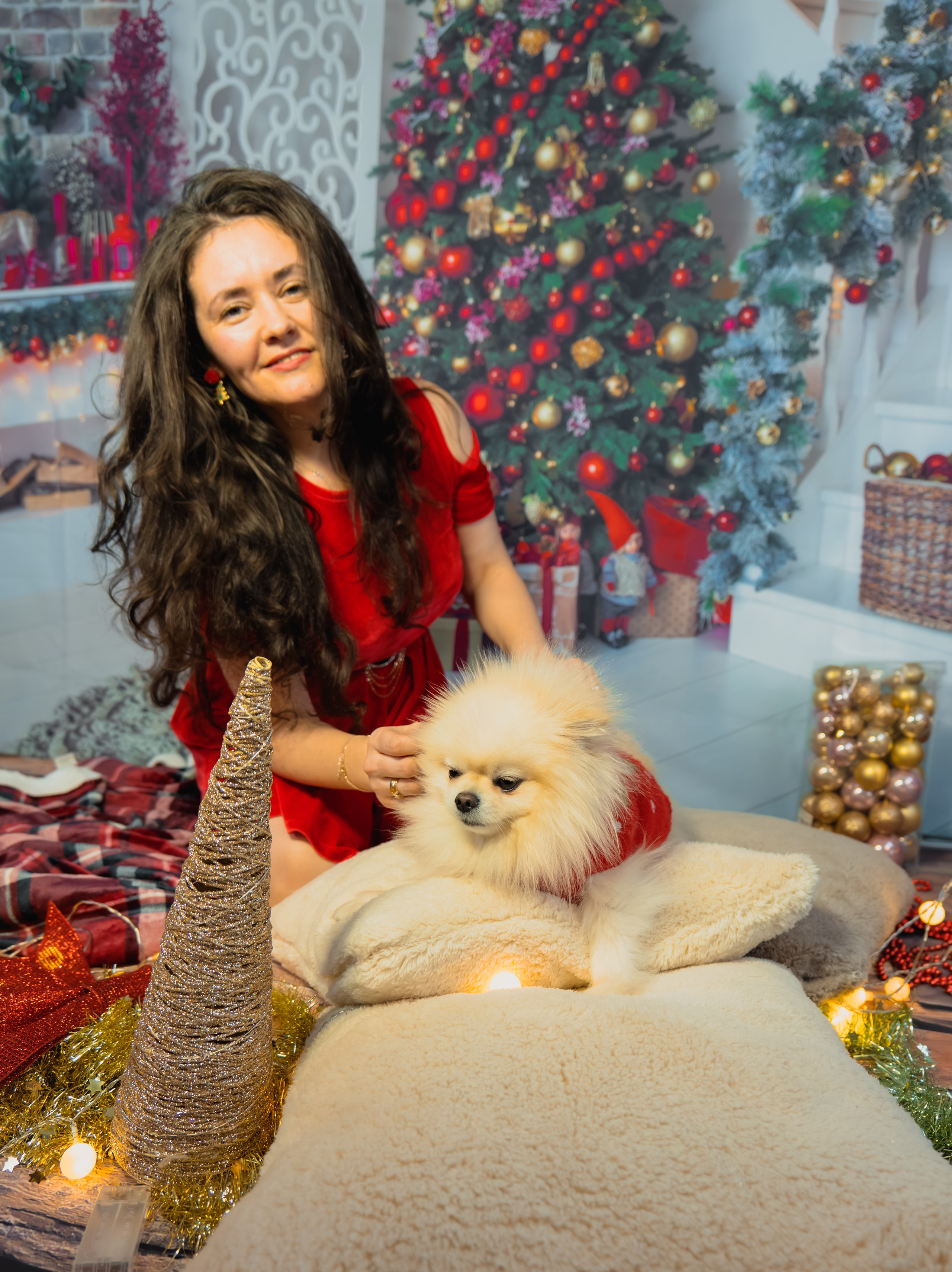 Christmas. Fotograful și Cameramanul familiei dvs în Franța Paul Photographer