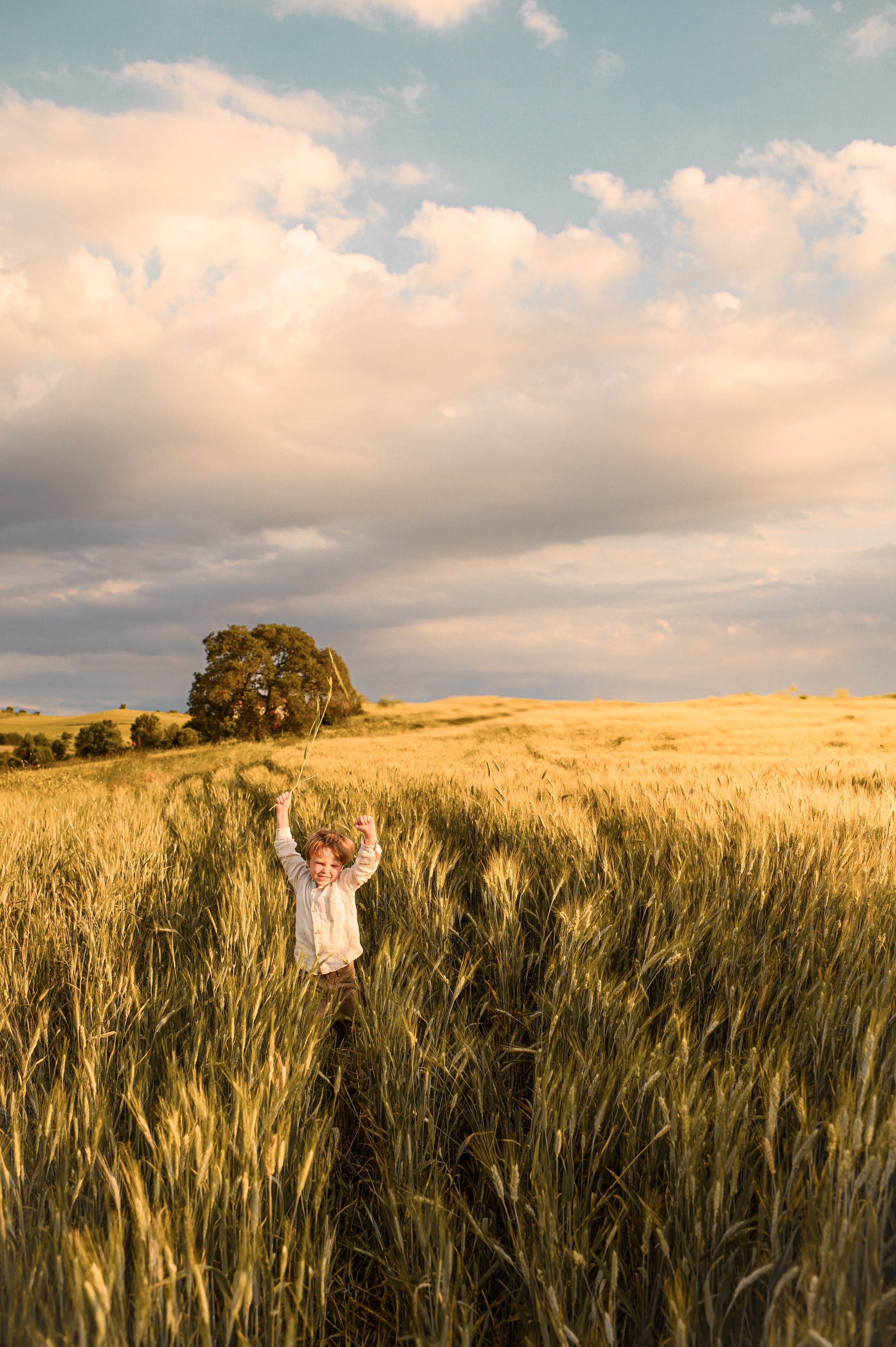 Wheat fields. Семейная, детская, портретная и предметная фотосъемка в Салониках