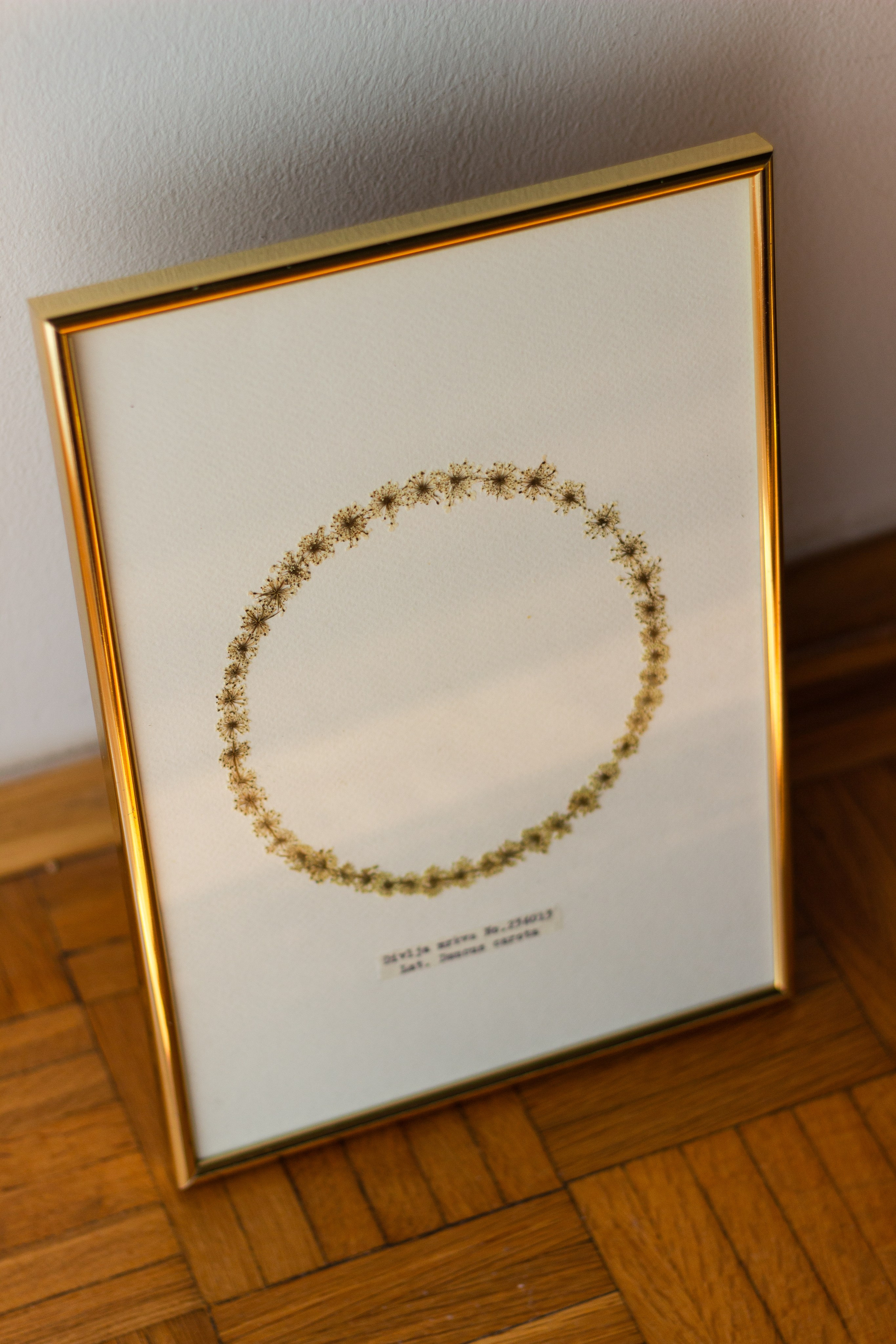 Radovi po narudžbi. Herbarij studio