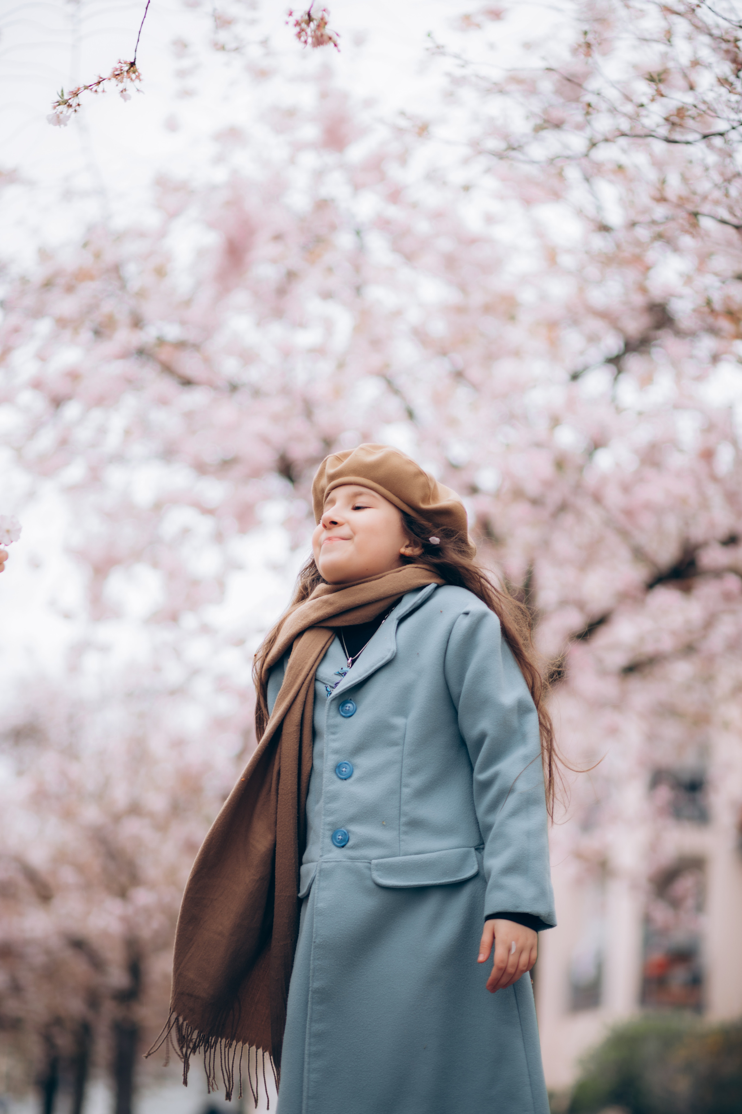 Kirschblüten. Kristina Podolyakova - Fotografin in Ludwigsburg