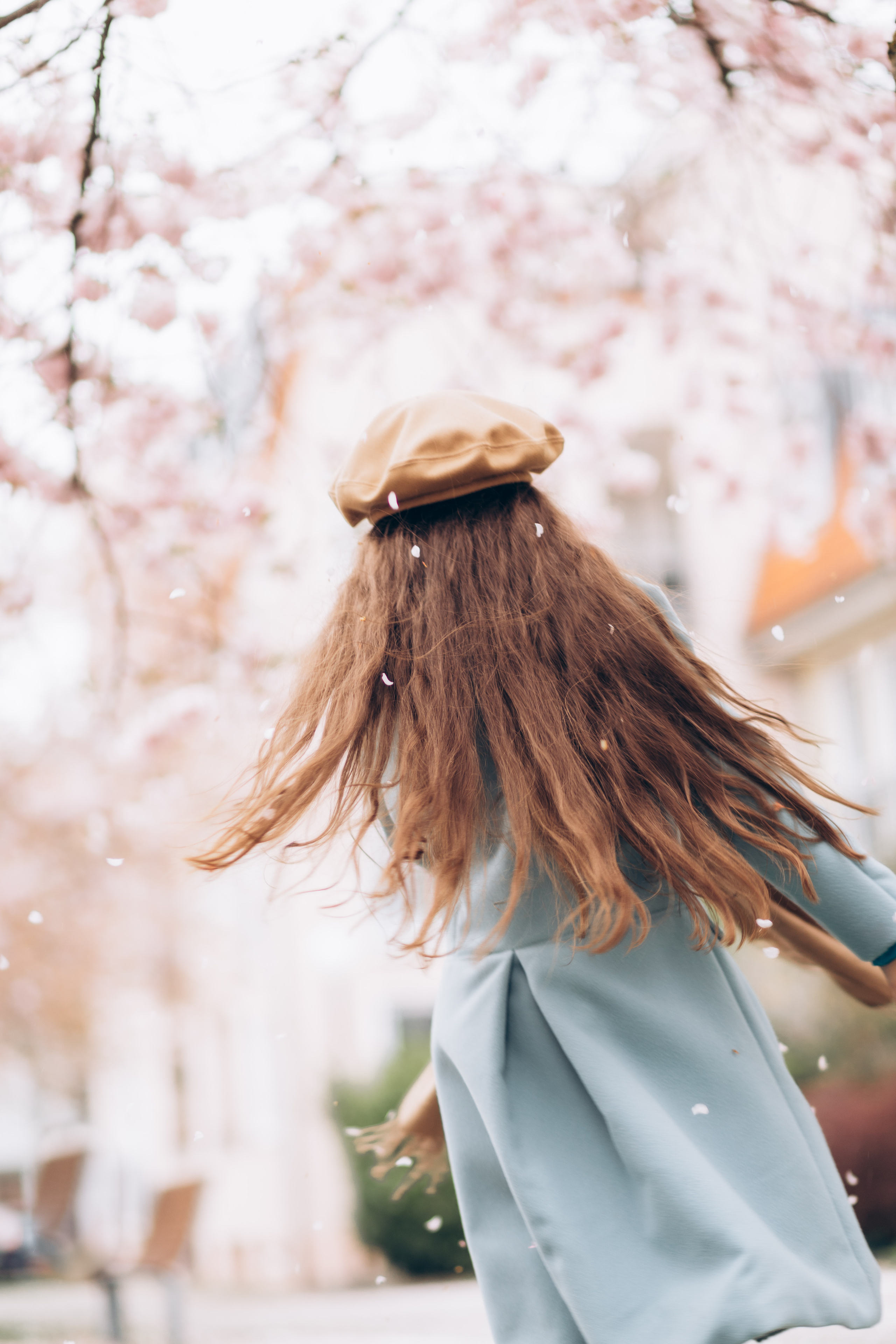 Kirschblüten. Kristina Podolyakova - Fotografin in Ludwigsburg
