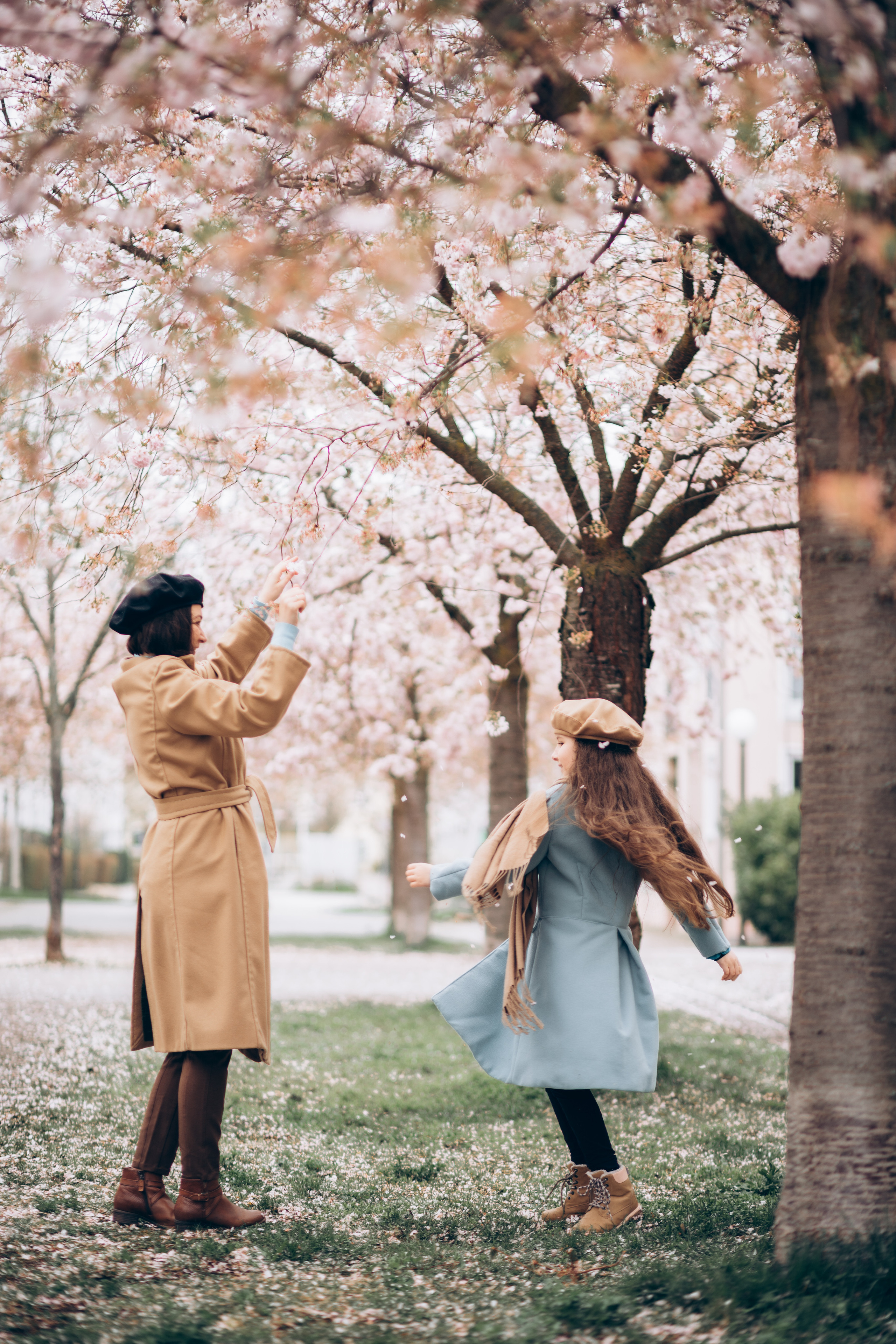 Kirschblüten. Kristina Podolyakova - Fotografin in Ludwigsburg